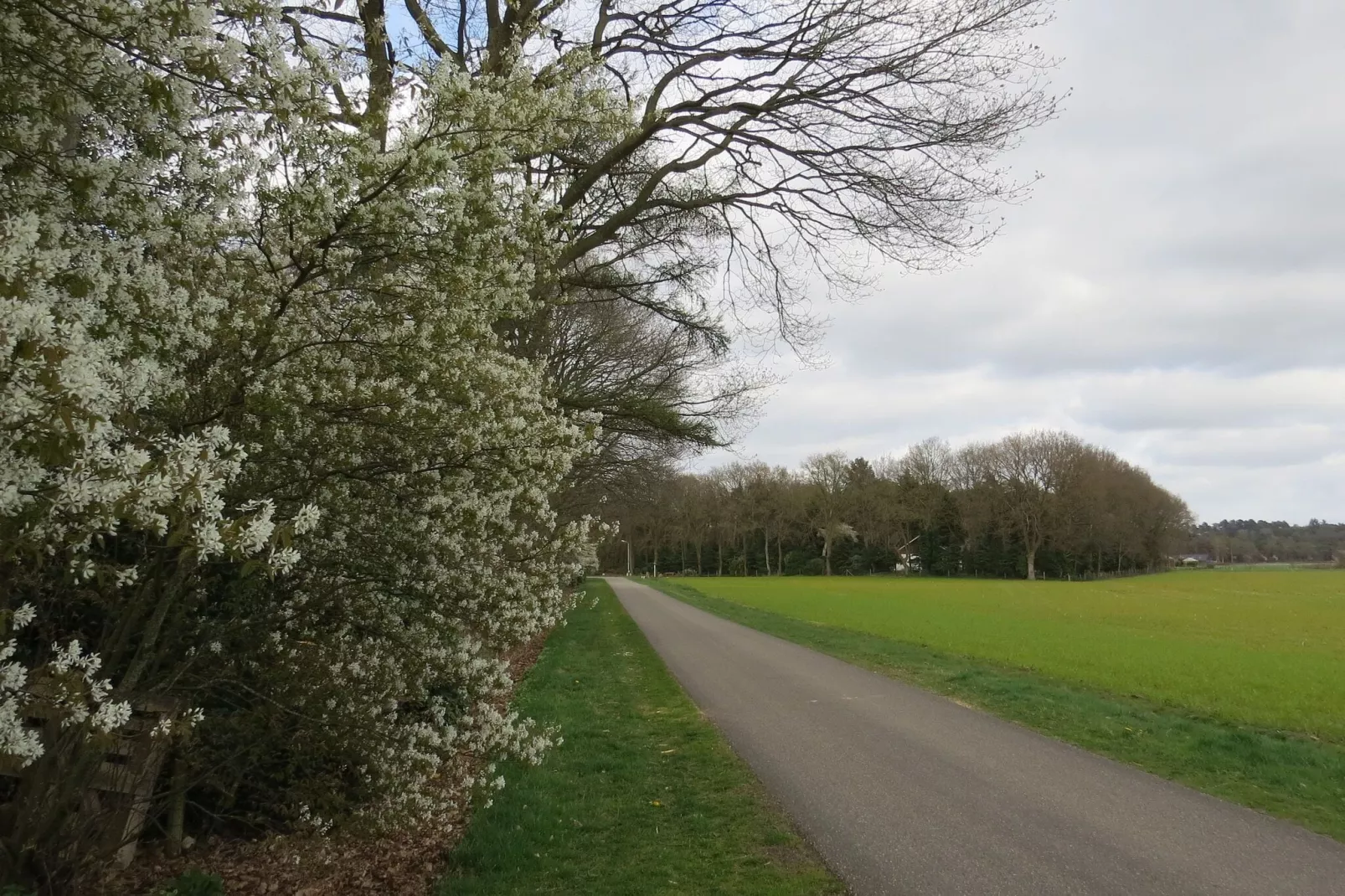 Buitenplaats Berg en Bos nummer 42-Gebieden zomer 1km