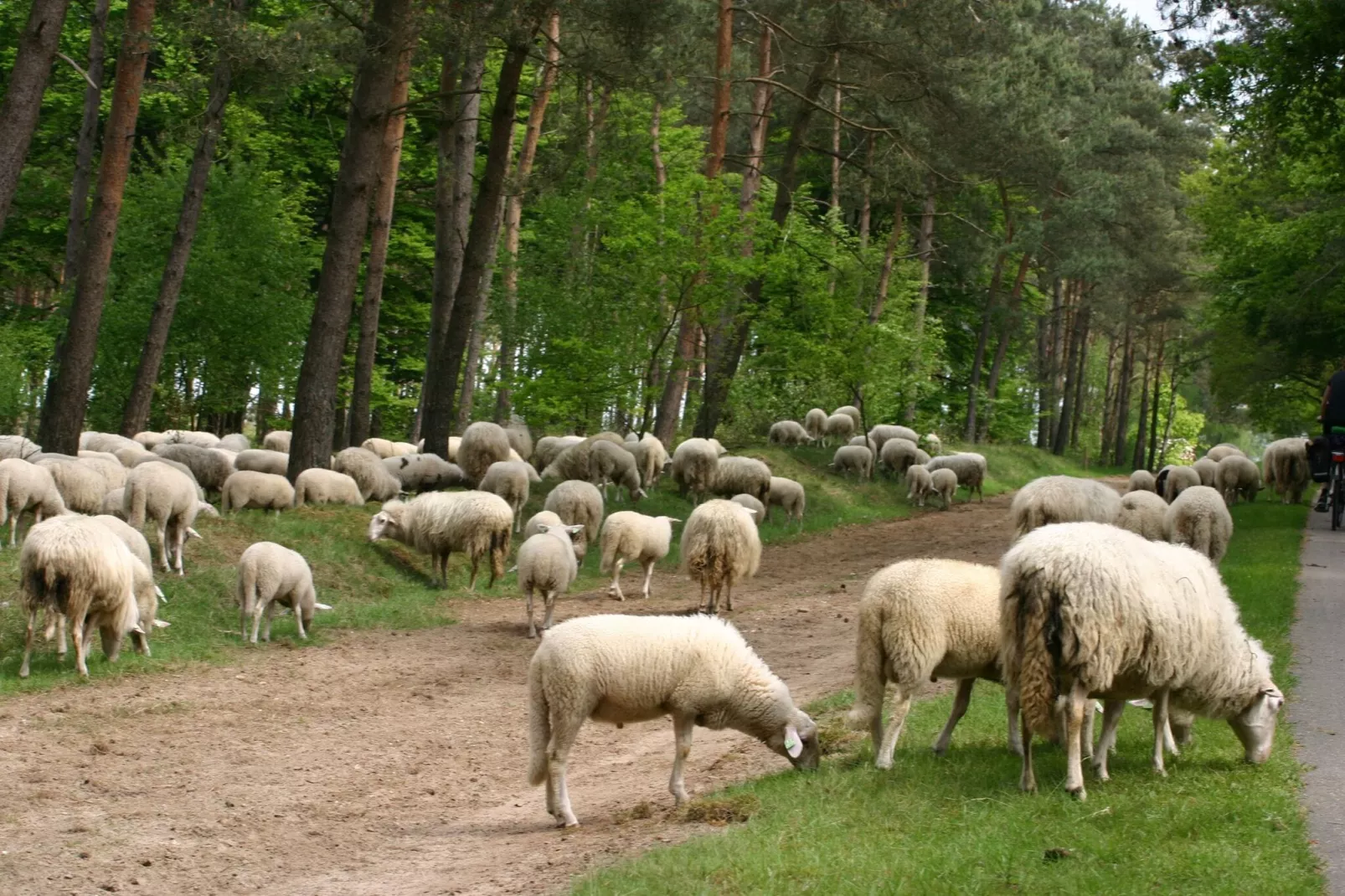 Buitenplaats Berg en Bos nummer 42-Gebieden zomer 20km