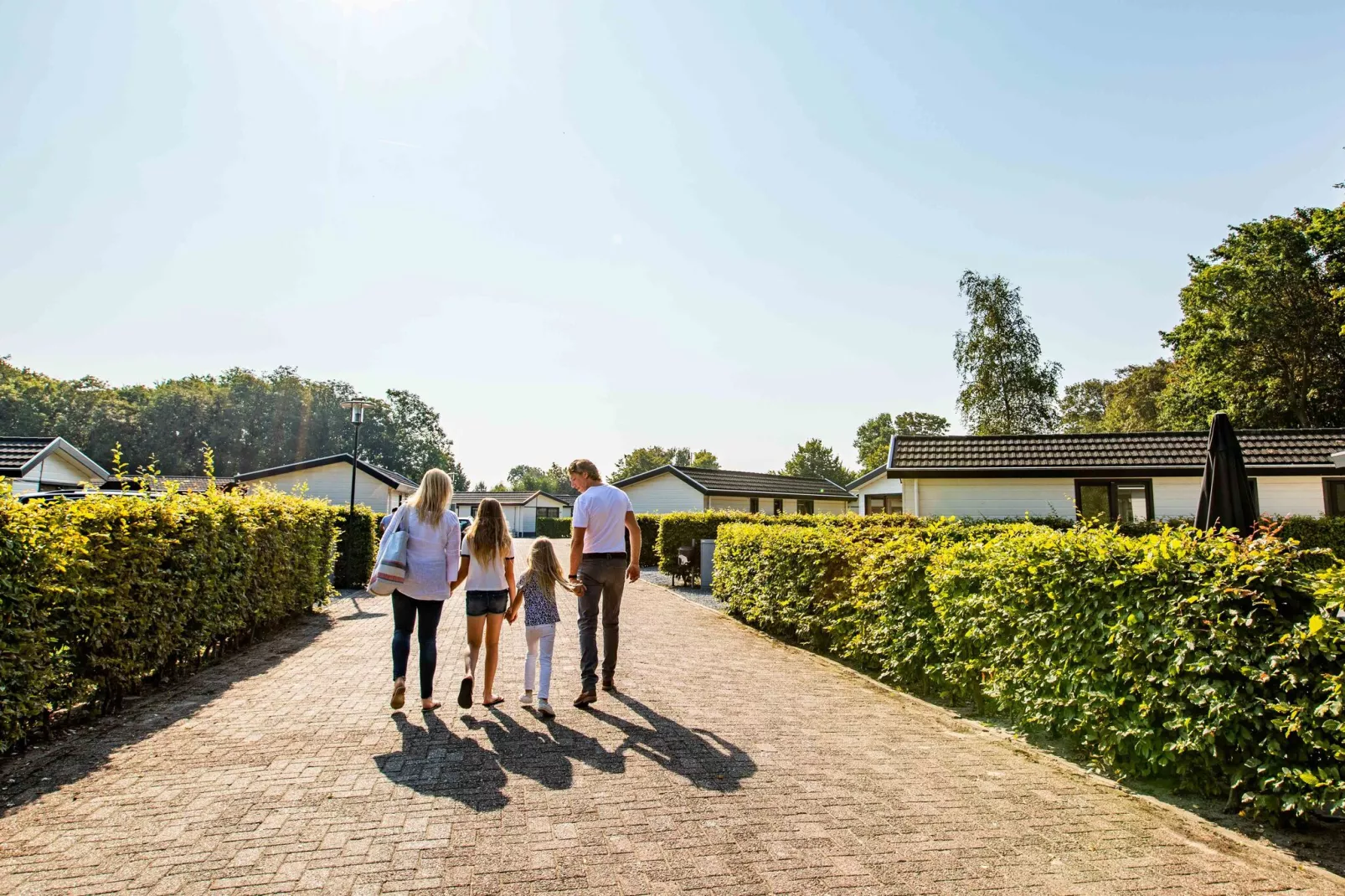 Noordwijkse Duinen 2-Gebieden zomer 1km