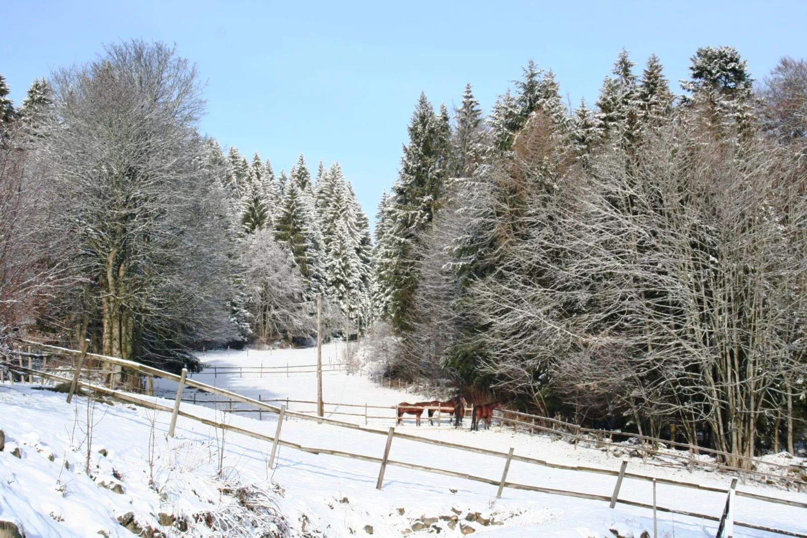 Pferdeklause-Gebied winter 1km