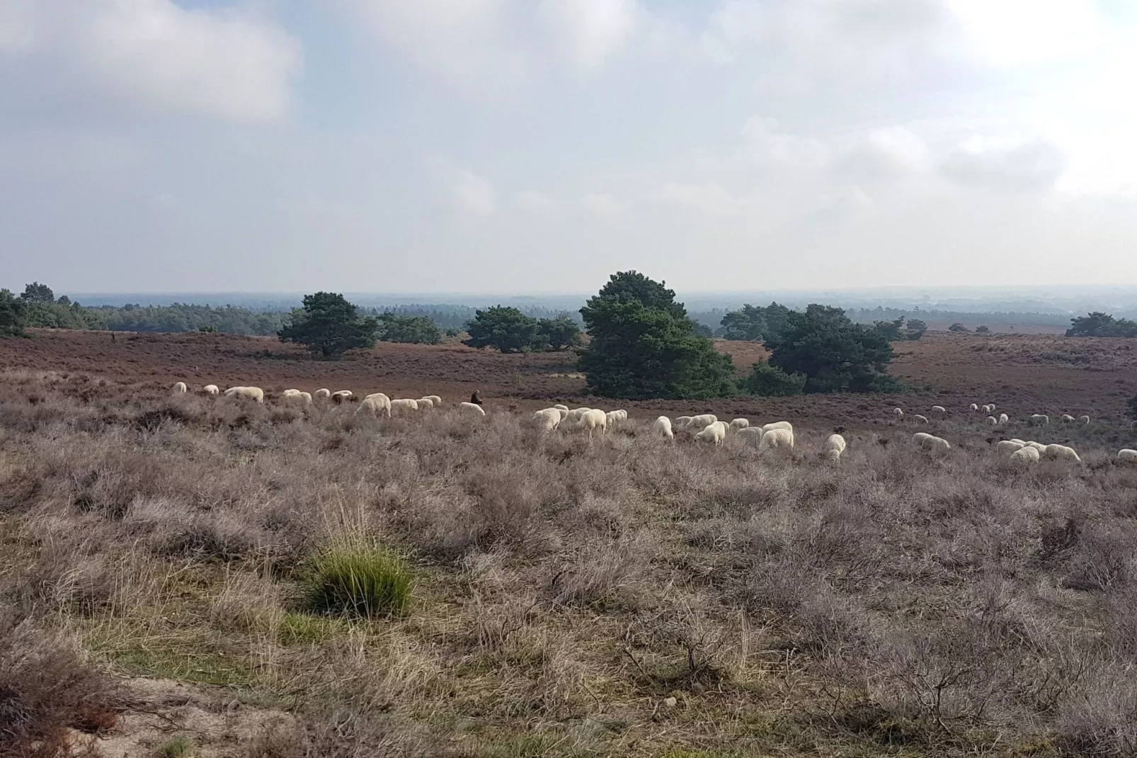 Buitenplaats Berg en Bos nummer 18-Gebieden zomer 1km