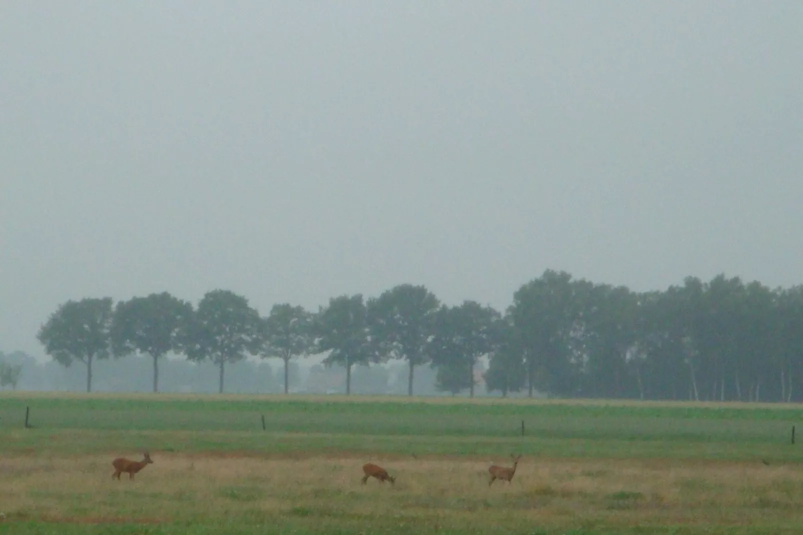 Buitenplaats Berg en Bos nummer 18-Uitzicht zomer