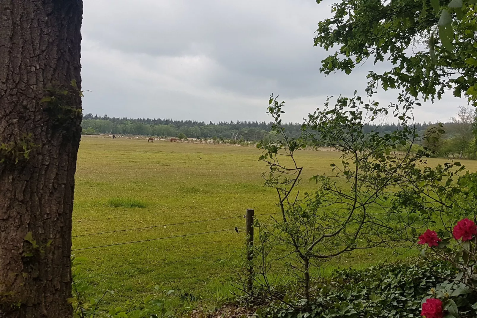 Buitenplaats Berg en Bos nummer 18-Uitzicht zomer