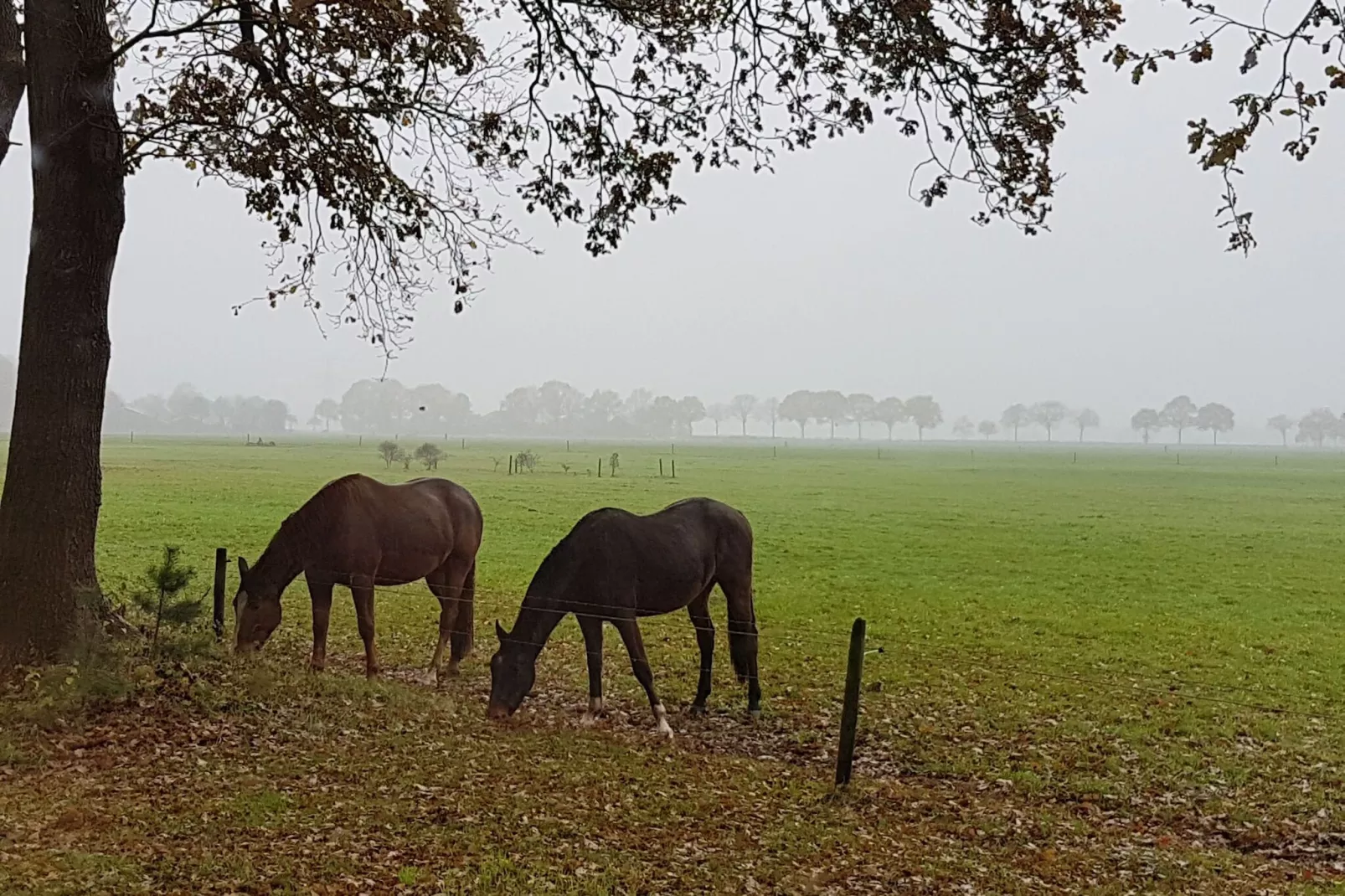 Buitenplaats Berg en Bos nummer 18-Uitzicht zomer