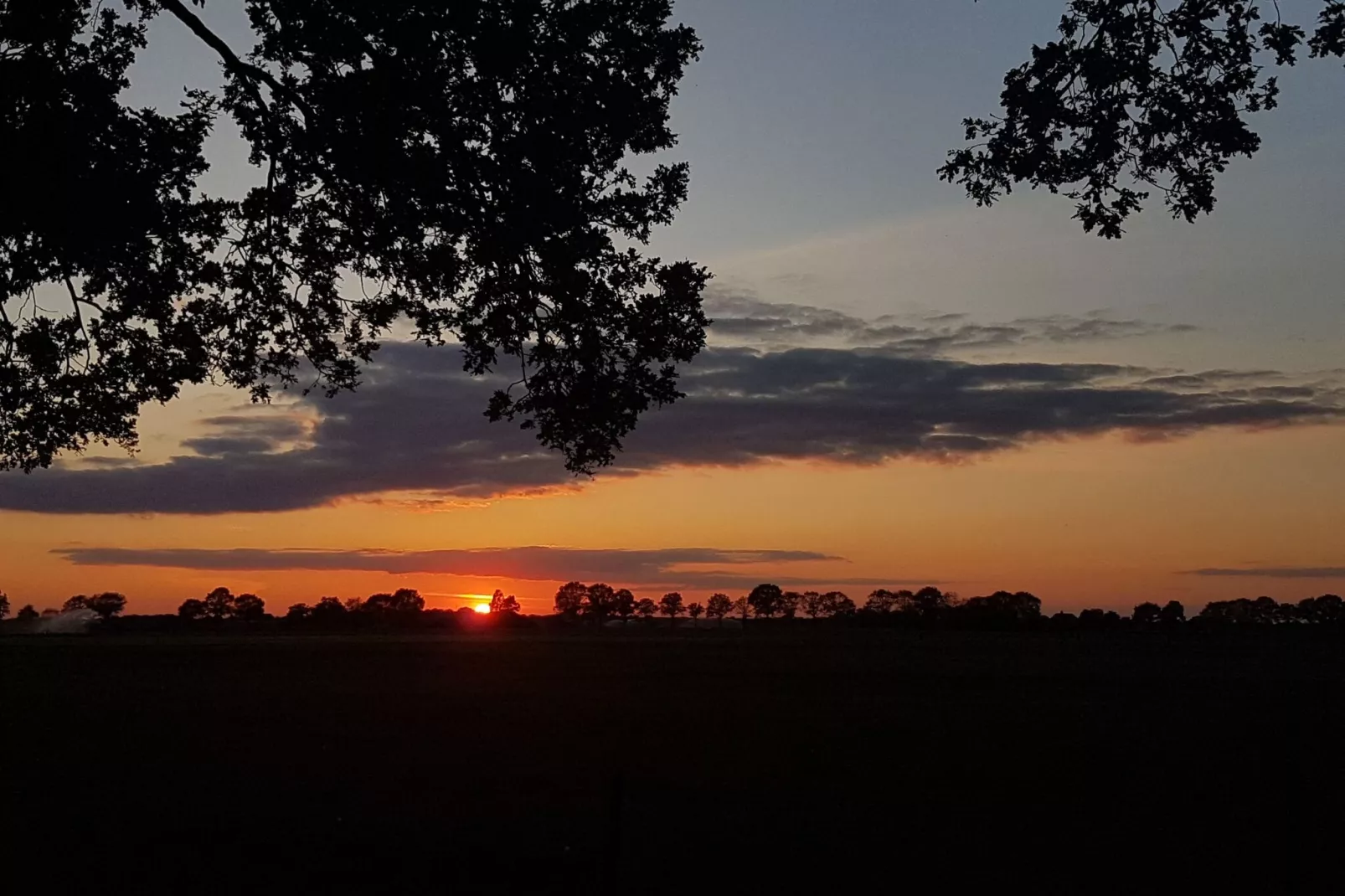 Buitenplaats Berg en Bos nummer 18-Uitzicht zomer