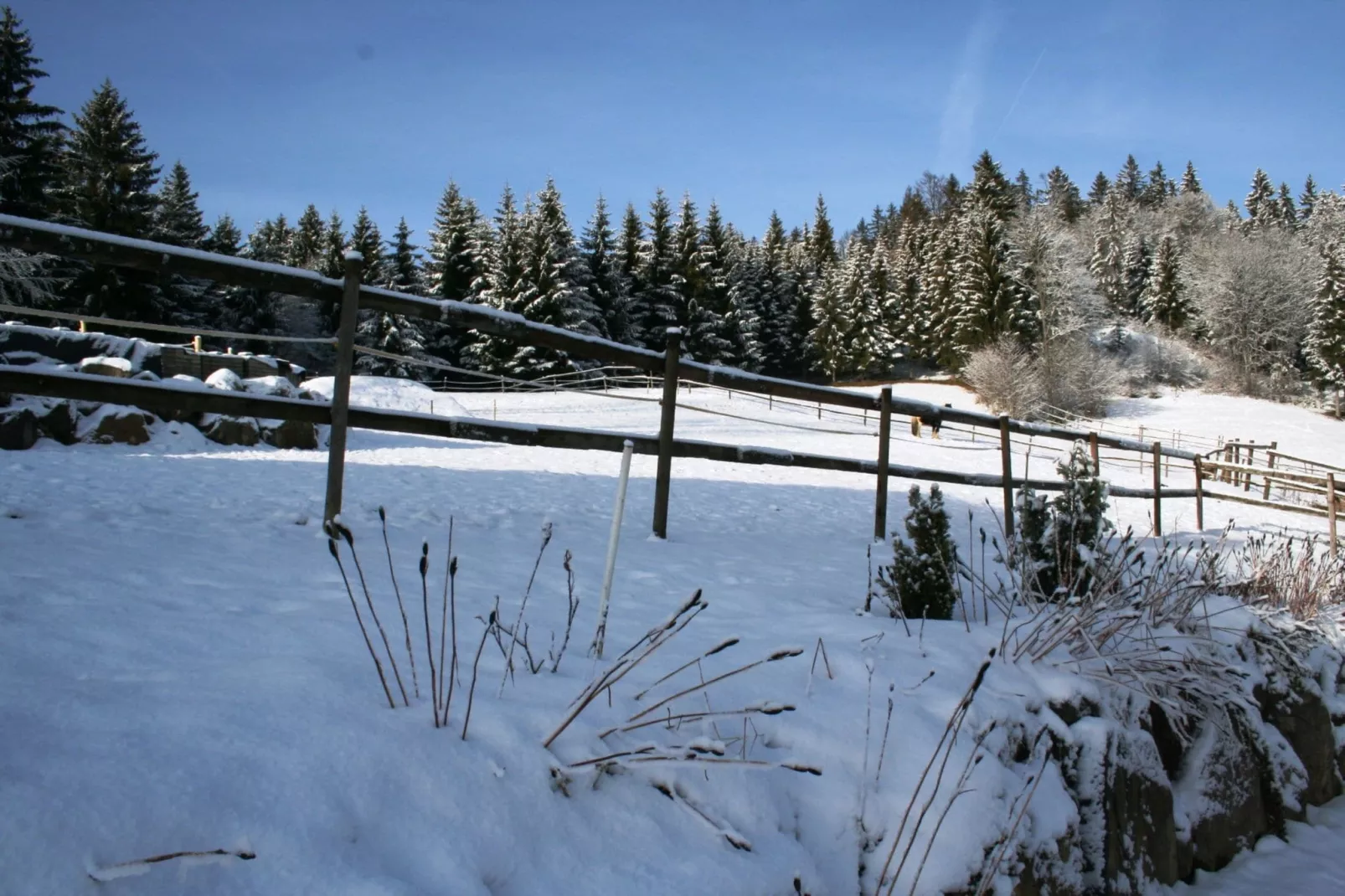 Schwarzwaldhaus Pferdeklause-Uitzicht winter