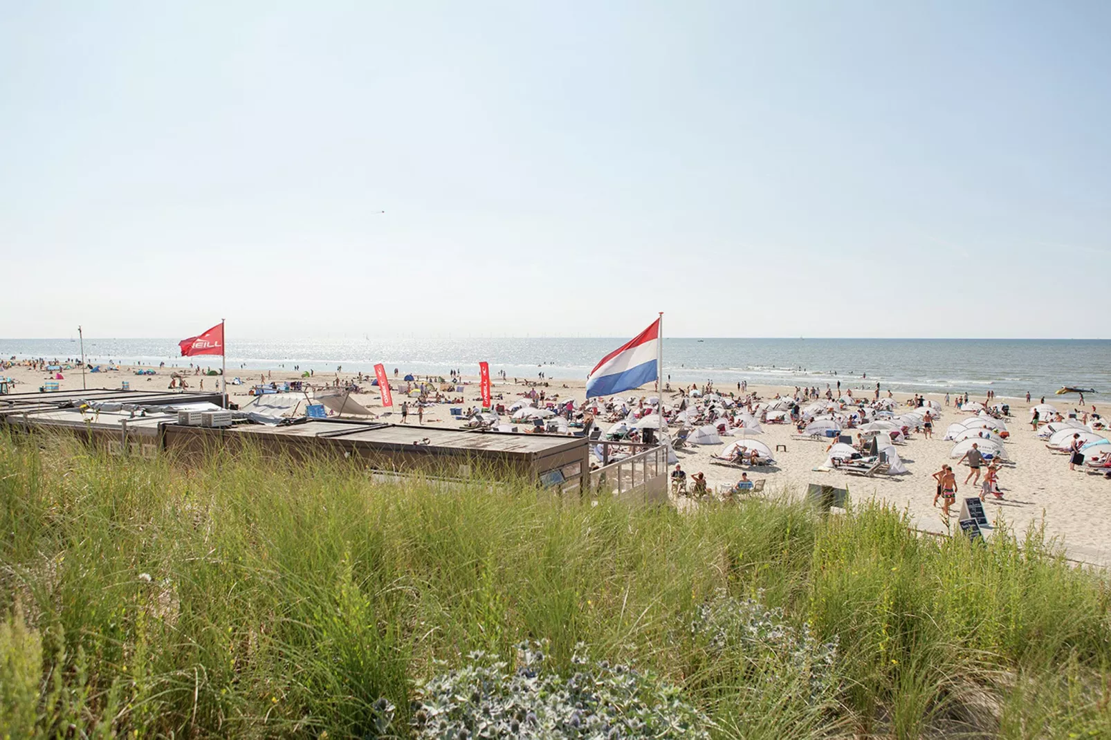 Modern vakantiehuis gelegen tegen de duinen tussen Schoorl en Bergen-Gebieden zomer 5km