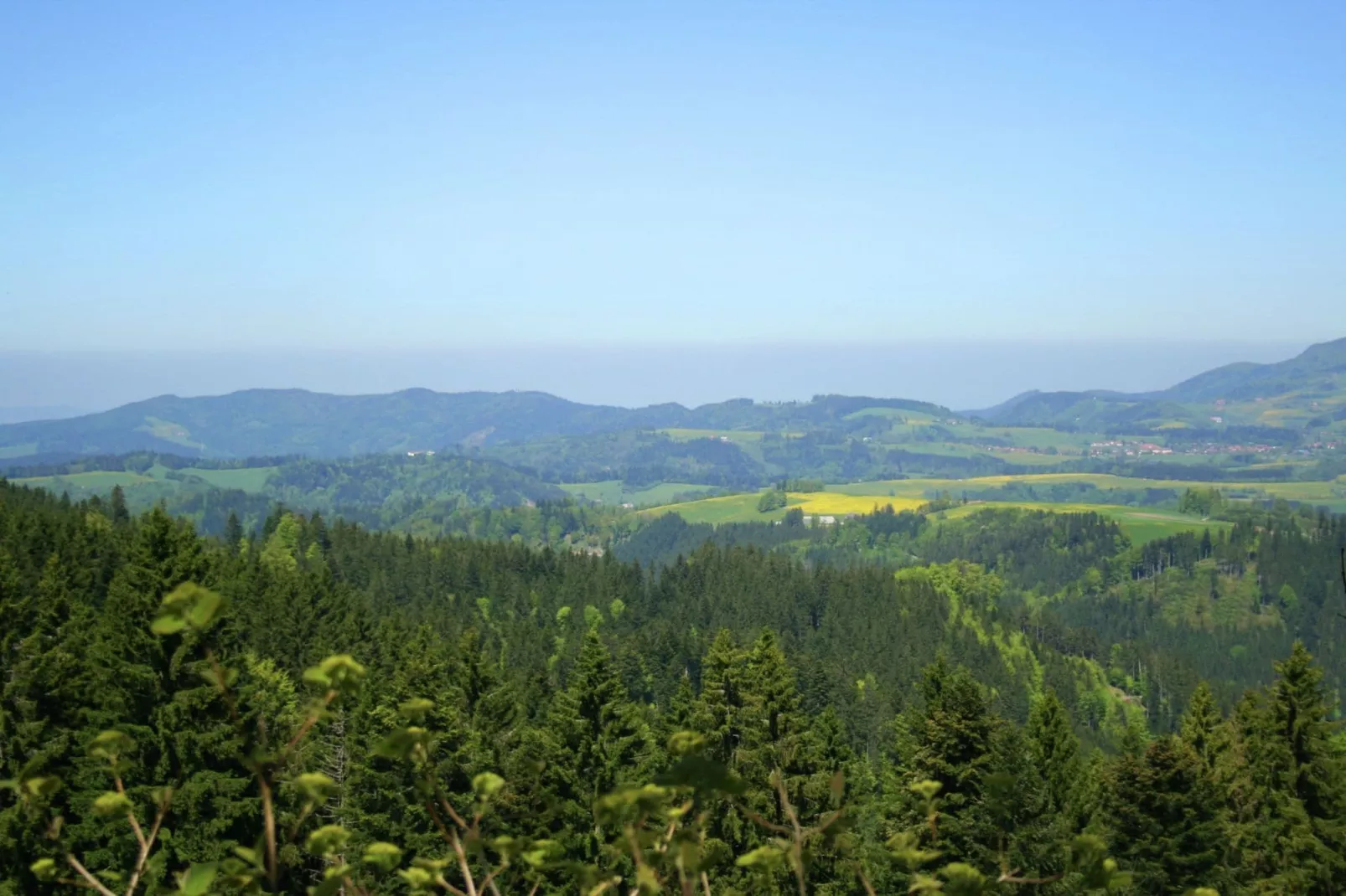 Schwarzwaldhaus Pferdeklause-Gebieden zomer 20km