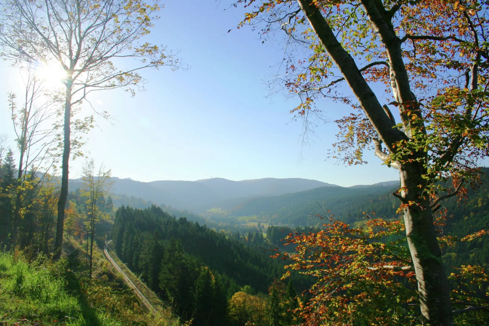 Vogelsang-Gebieden zomer 5km