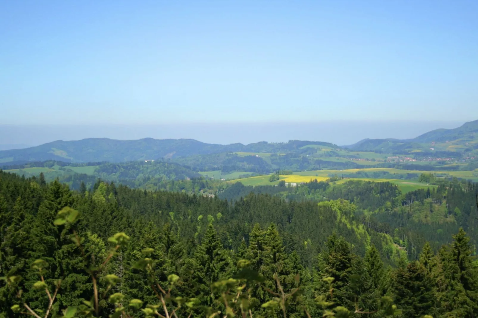 Vogelsang-Gebieden zomer 20km