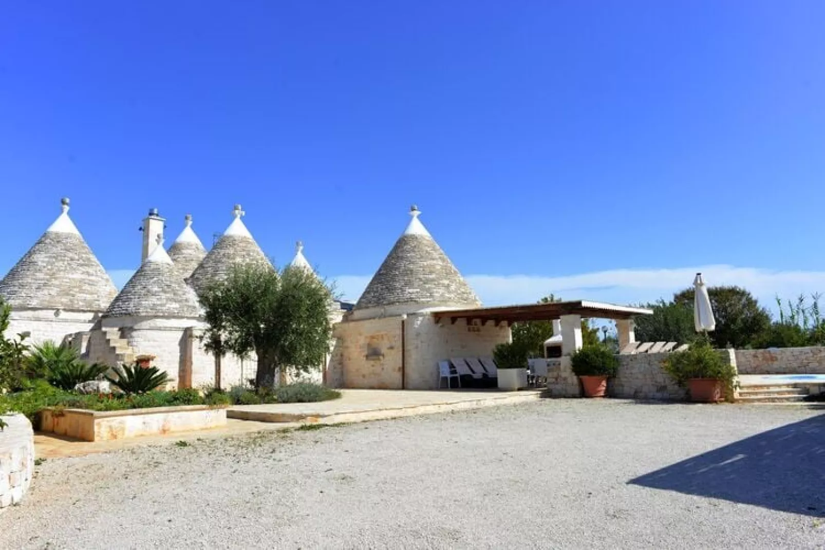 Holiday home Cisternino-Trullo Ulivo Antico-Buitenkant zomer