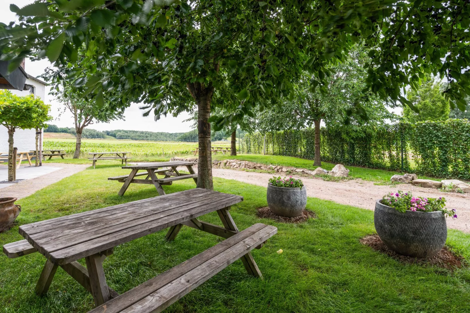 Hoeve de Drogenberg de Schuur-Tuinen zomer