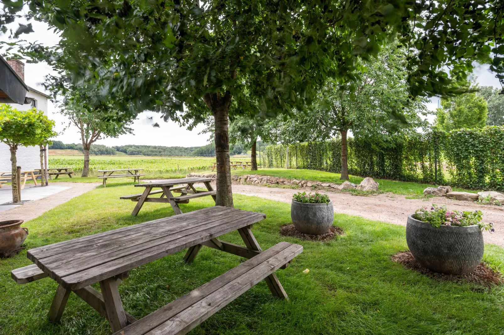 Hoeve de Drogenberg-Tuinen zomer