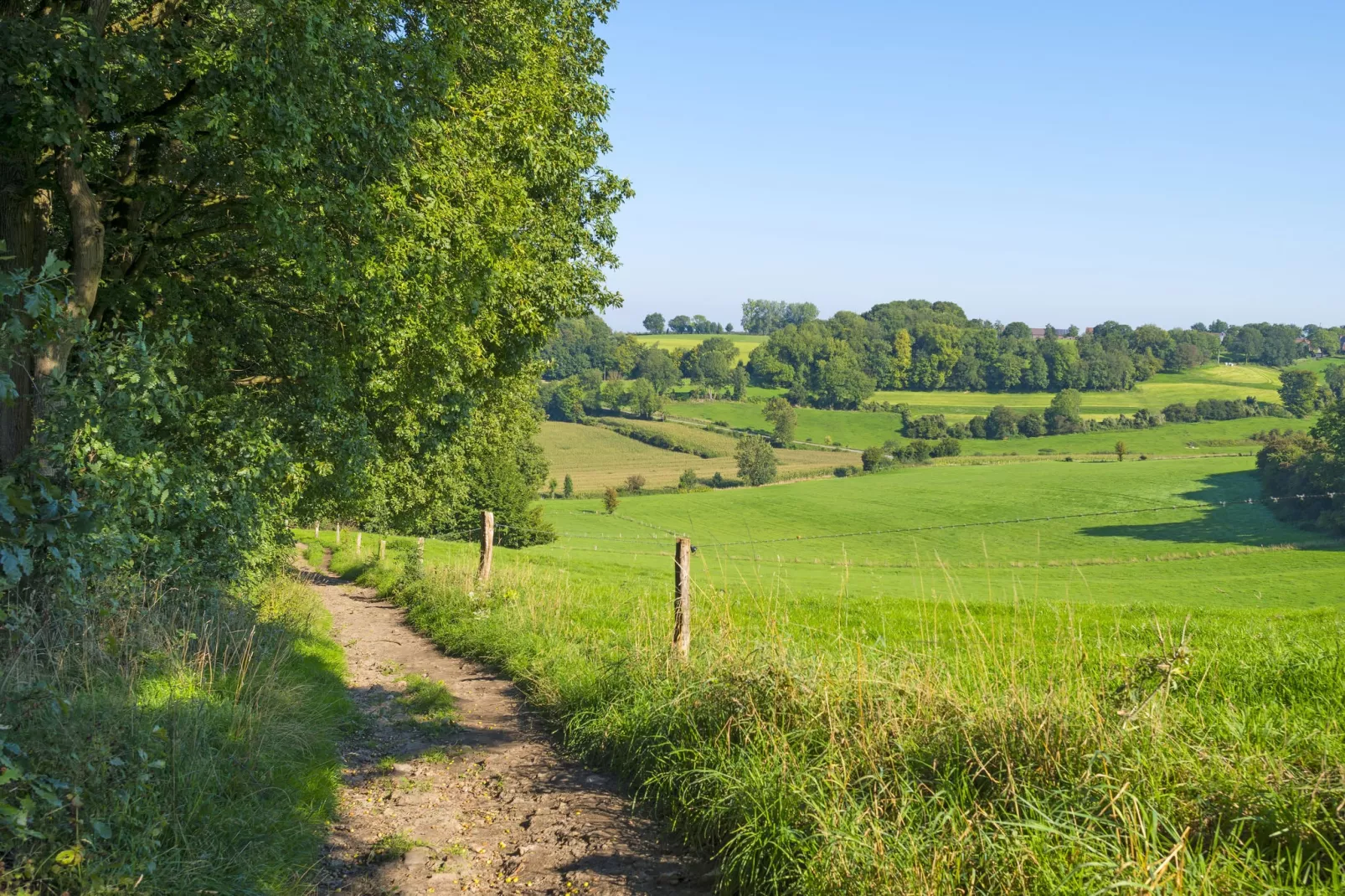 Resort Mooi Bemelen 4-Gebieden zomer 5km