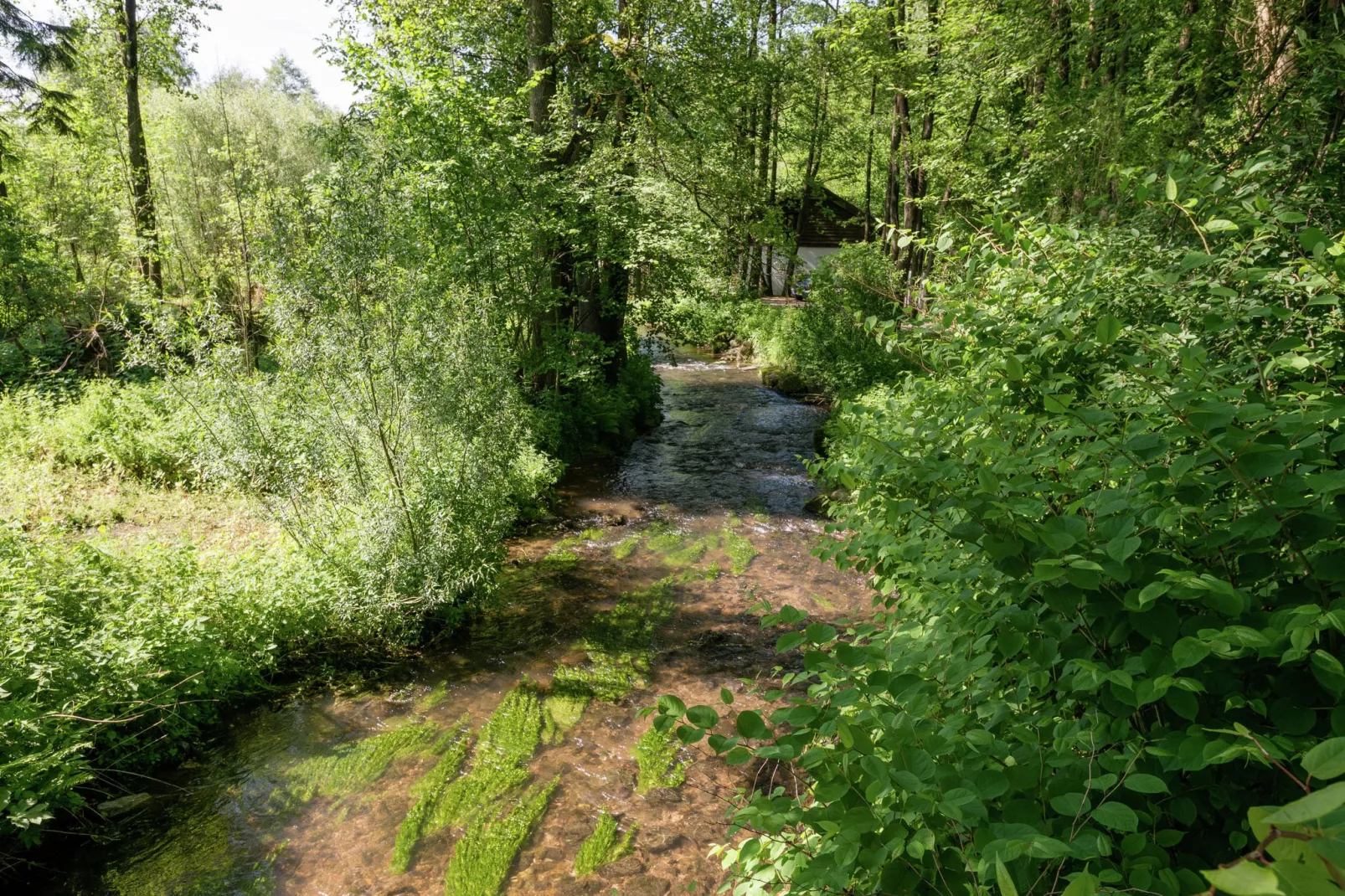 Ma Cabane-Gebieden zomer 1km