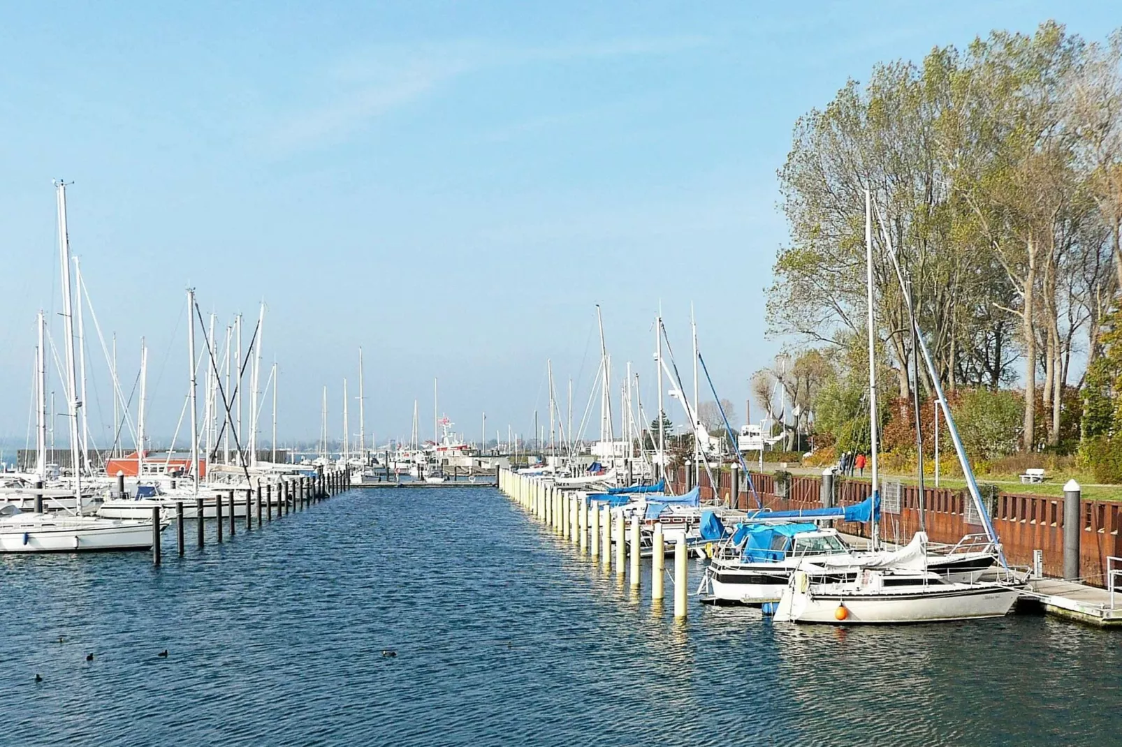 MEERBLICK 1-Niet-getagd