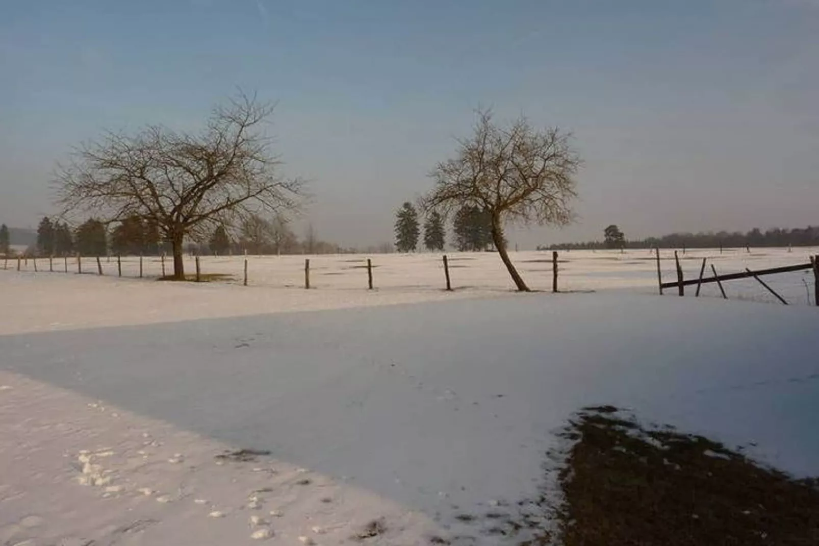 Les Pâturages 1-Gebied winter 1km