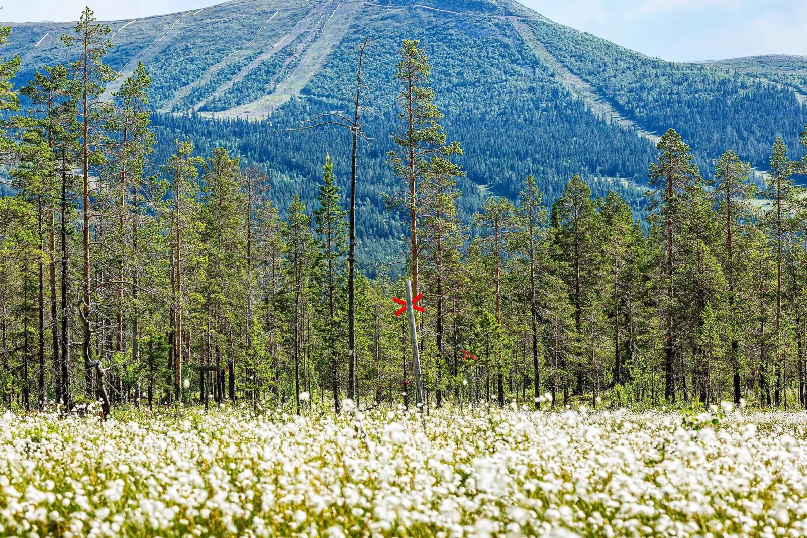 8 persoons vakantie huis in LOFSDALEN-Uitzicht