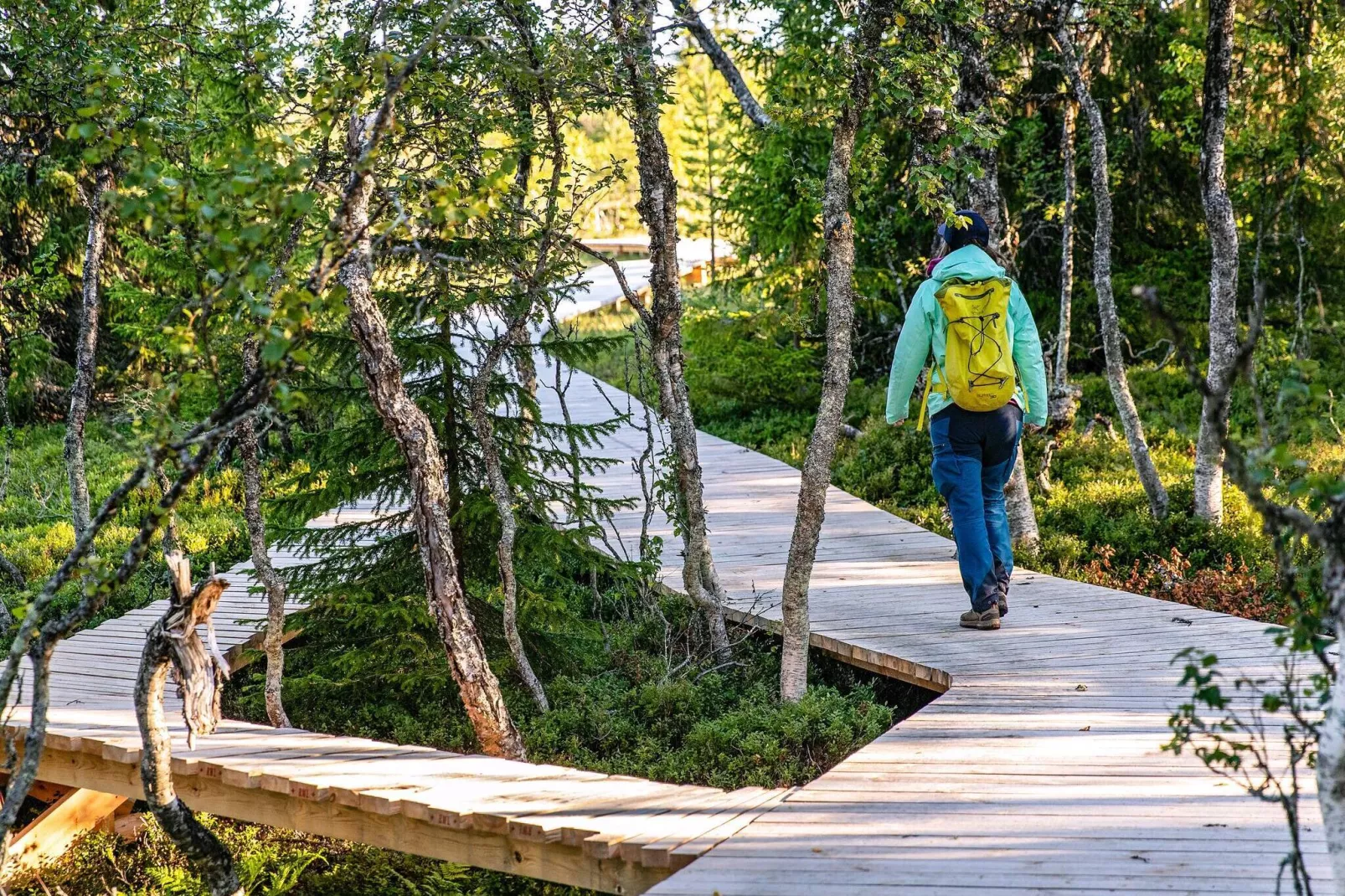 8 persoons vakantie huis in LOFSDALEN-Uitzicht