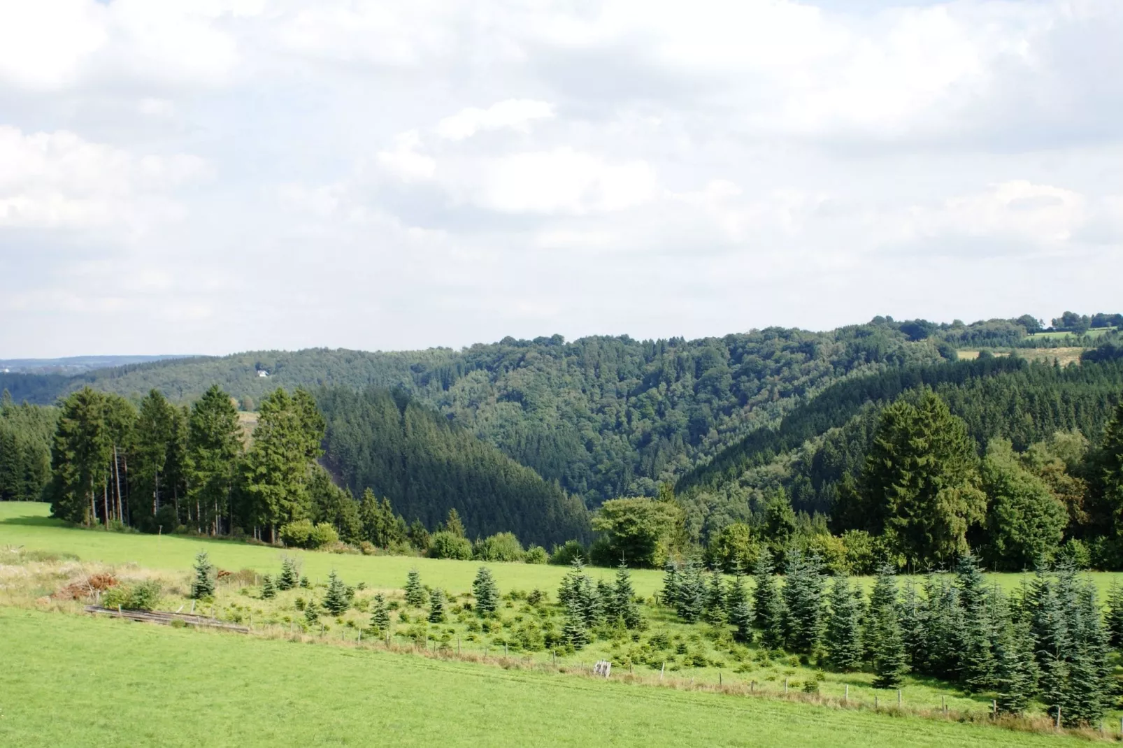 Zevenster-Gebieden zomer 1km