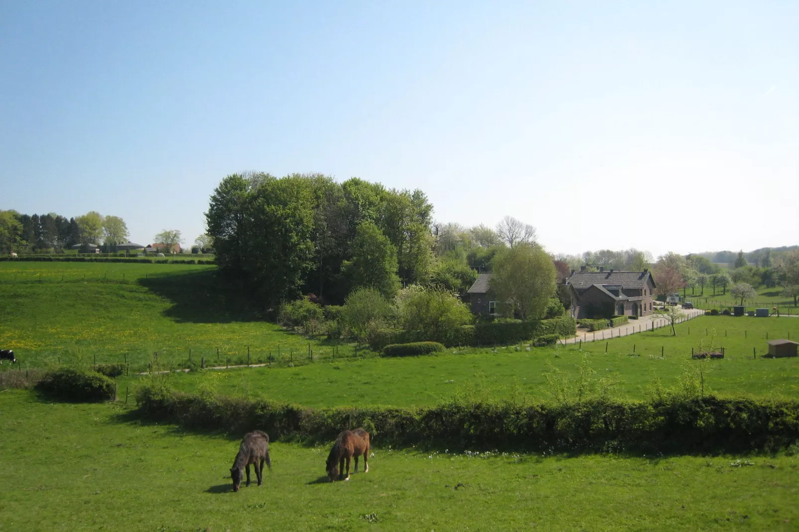 Honthem-Gebieden zomer 1km