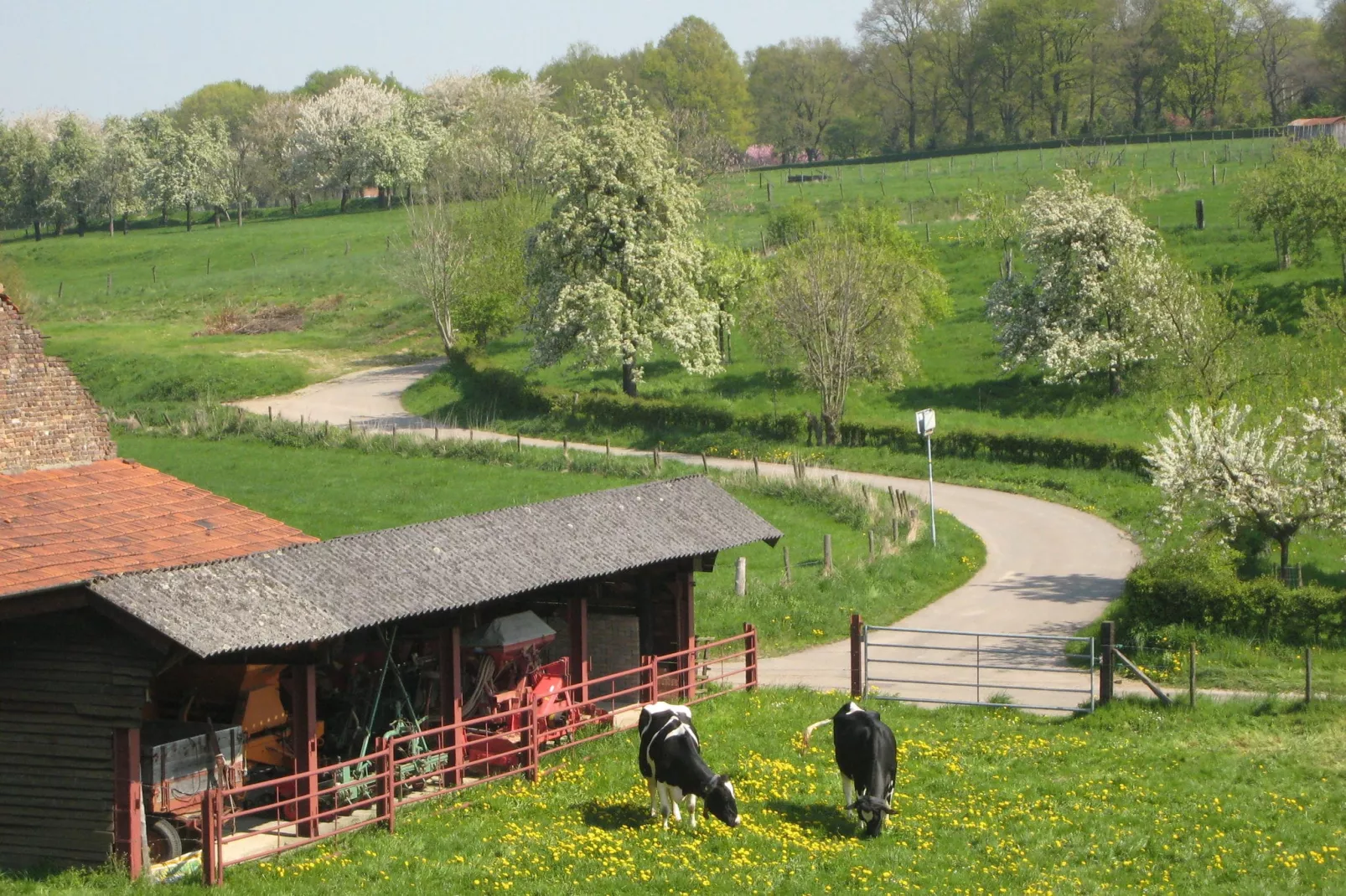 Honthem-Gebieden zomer 1km