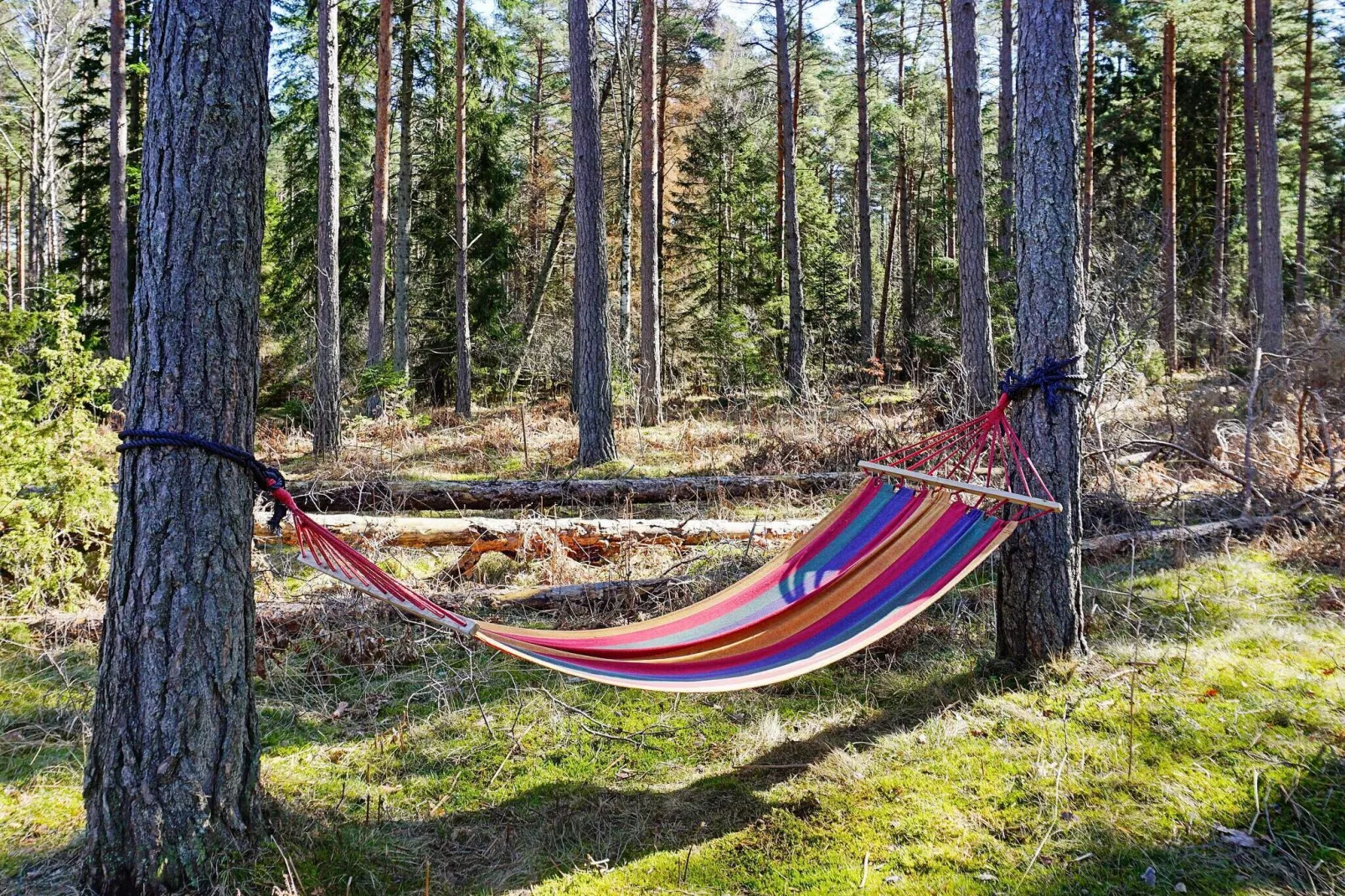 7 persoons vakantie huis in STENKYRKA-Buitenlucht