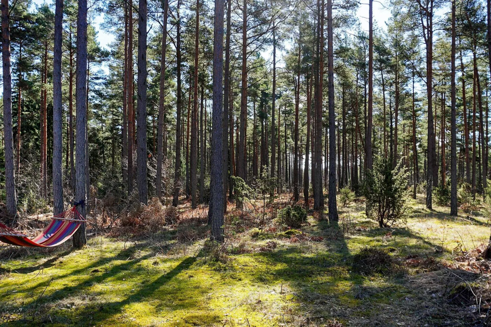 7 persoons vakantie huis in STENKYRKA-Buitenlucht