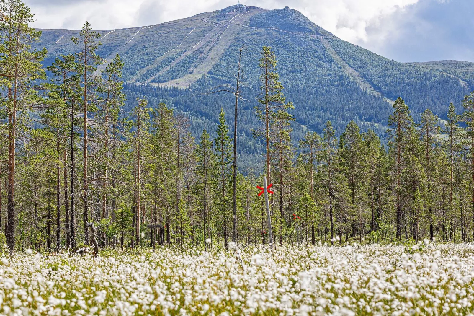 8 persoons vakantie huis in LOFSDALEN-Niet-getagd