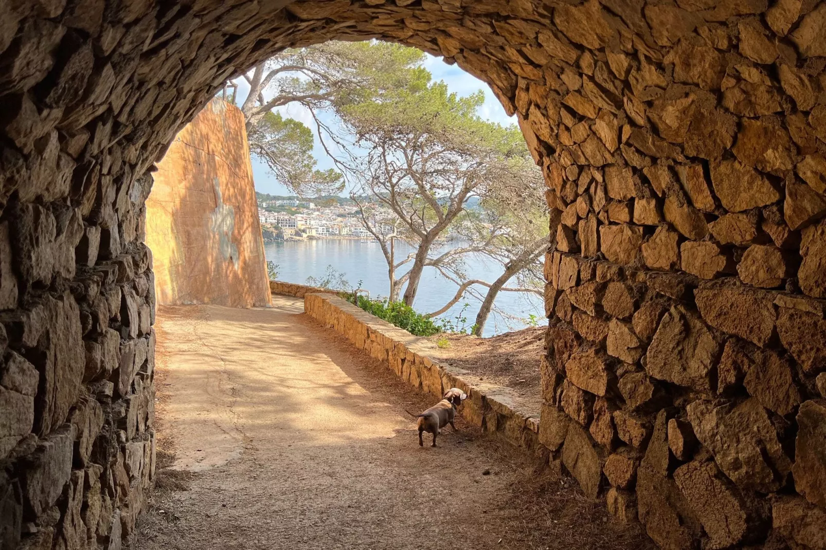 Buena Vista en Begur-Gebieden zomer 1km