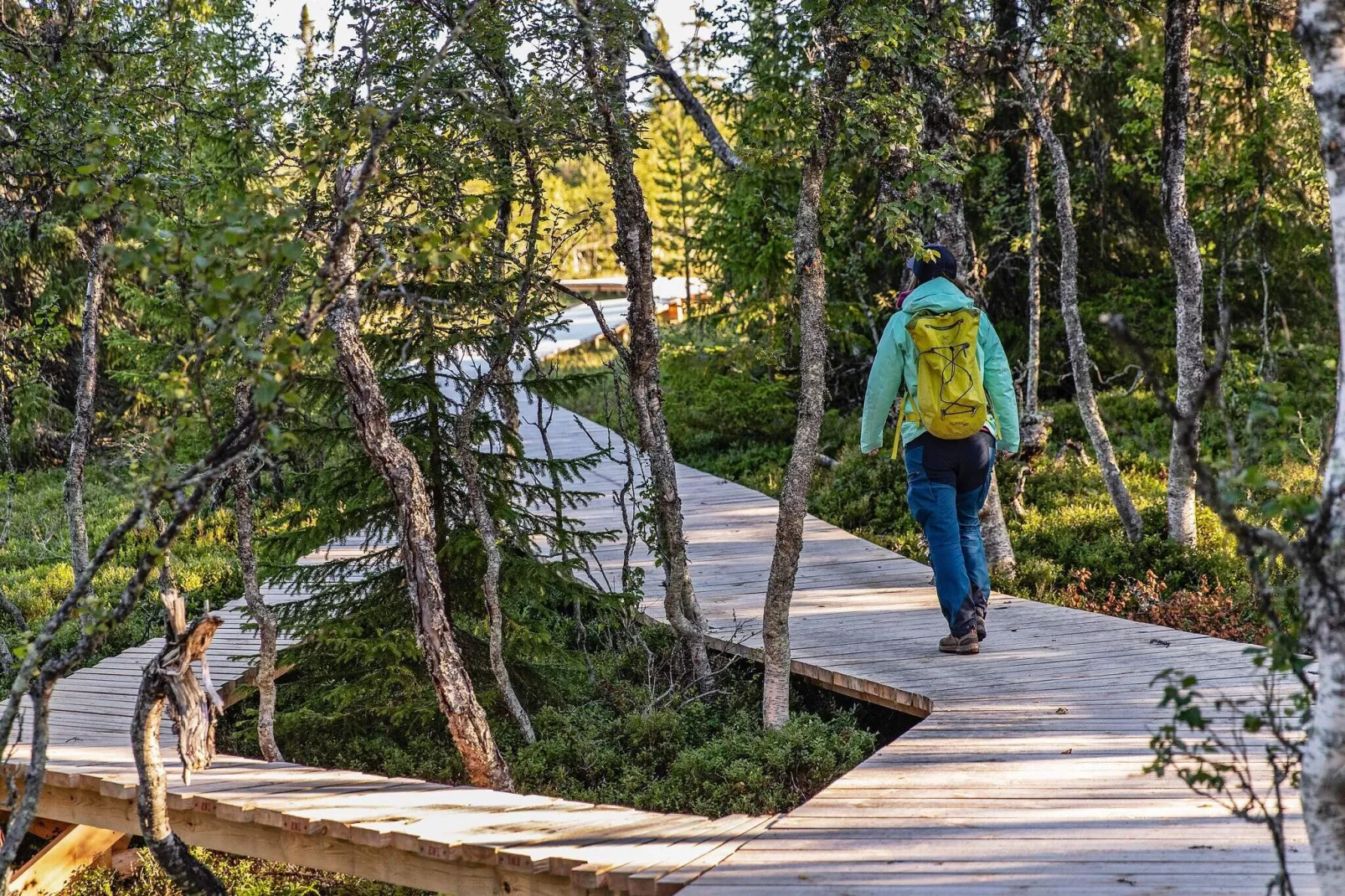 8 persoons vakantie huis in LOFSDALEN-Niet-getagd