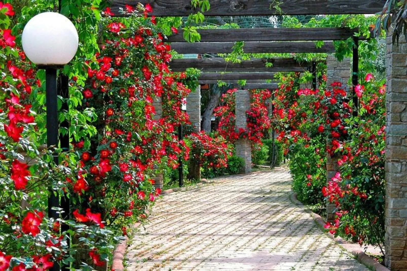 Residentie Villaggio Il Paese di Ciribi, Ceriale-Tuinen zomer