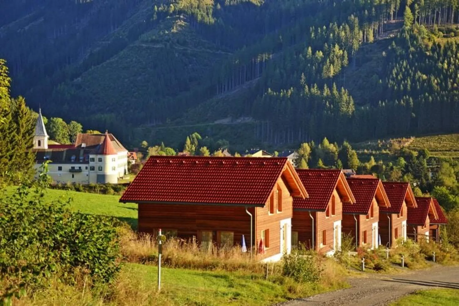 Ferienpark Gaal - Alpenland-Buitenkant zomer