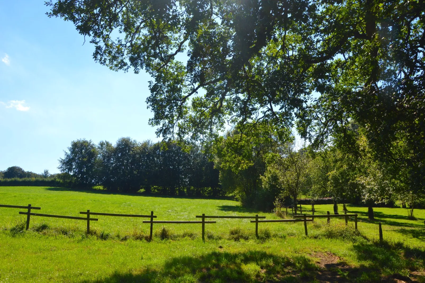 La Ferme d'Amel-Gebieden zomer 1km