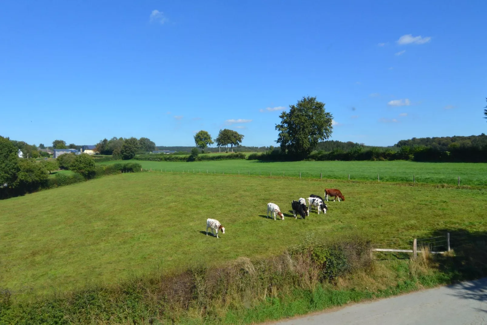 La Ferme d'Amel-Gebieden zomer 5km