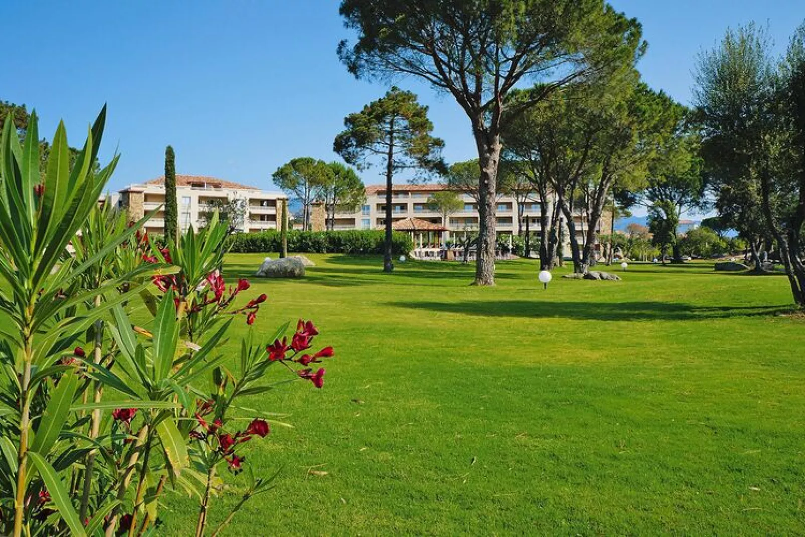 Residence Salina Bay Porto-Vecchio // F2 - 2-4 pers côté piscine-Tuinen zomer