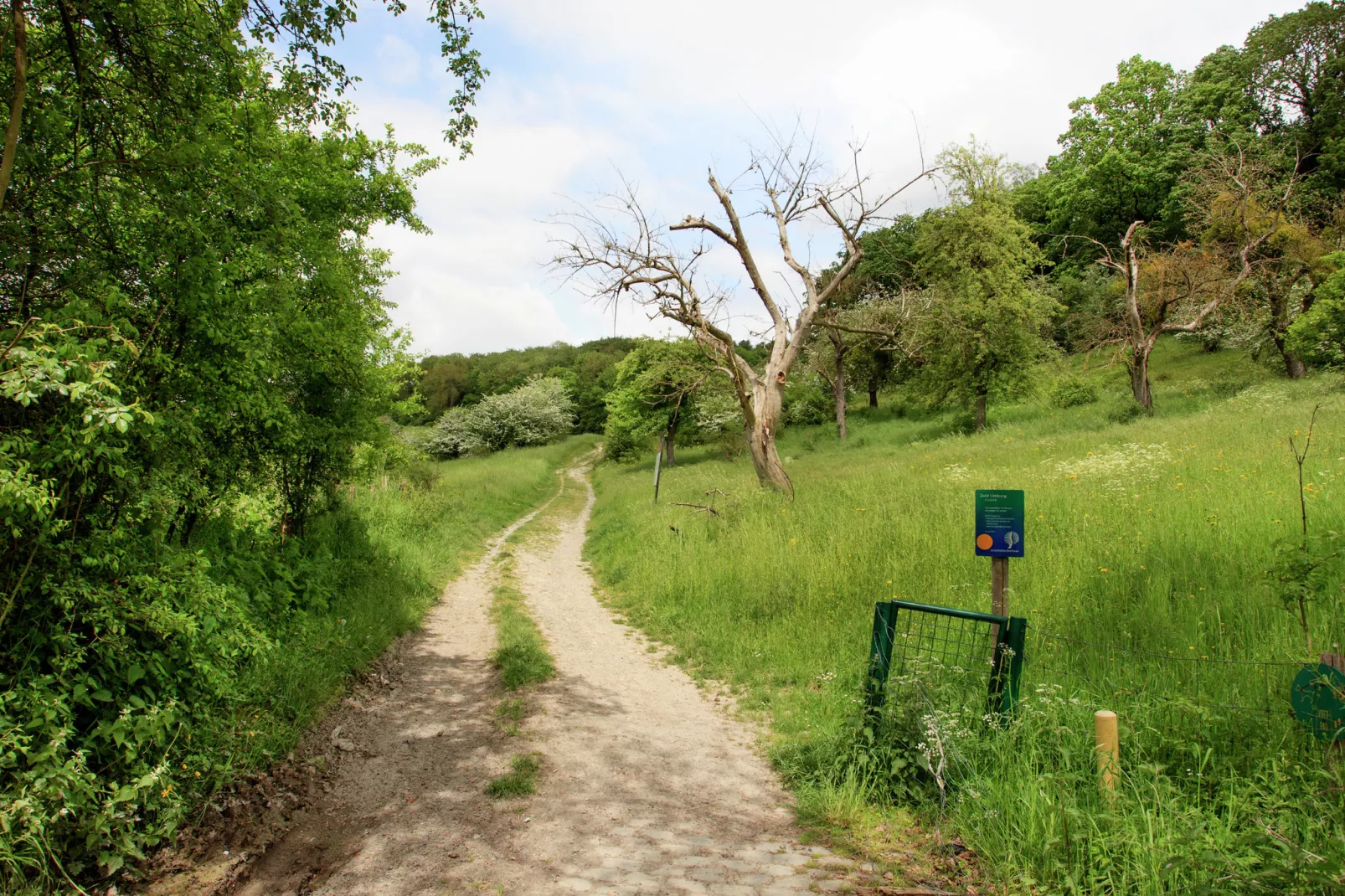 Hoeve A Gen Water - Botterblumke-Gebieden zomer 1km