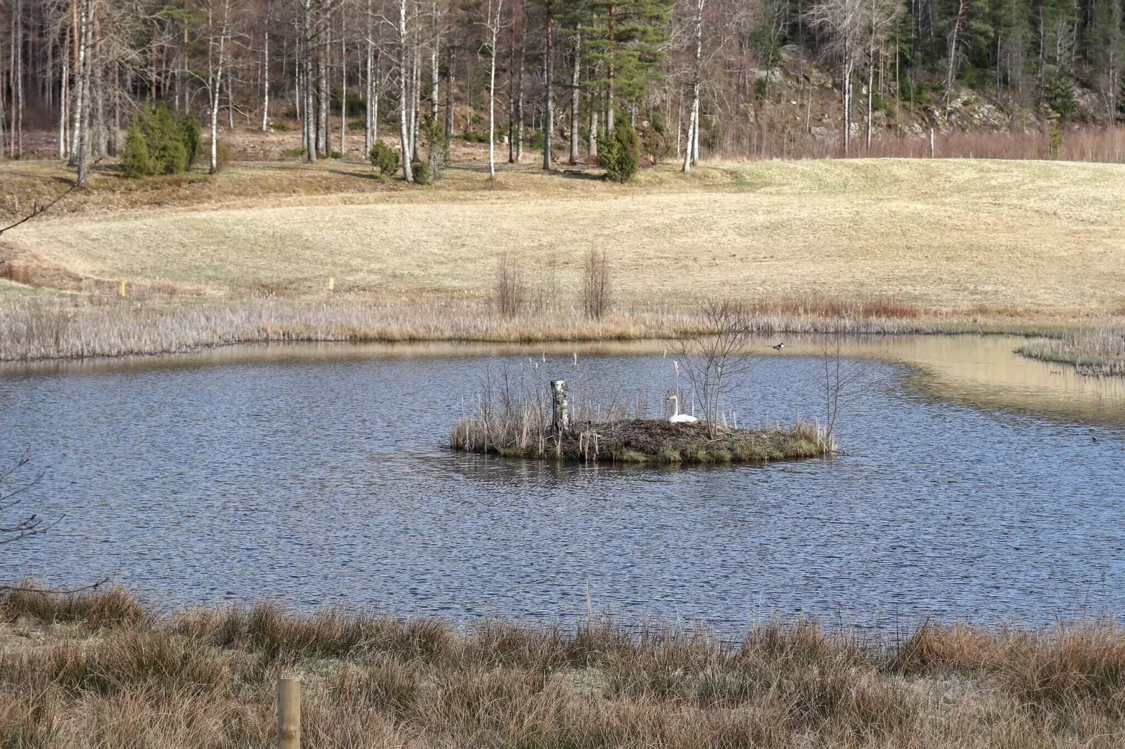 11 persoons vakantie huis in HÖGSÄTER-Uitzicht