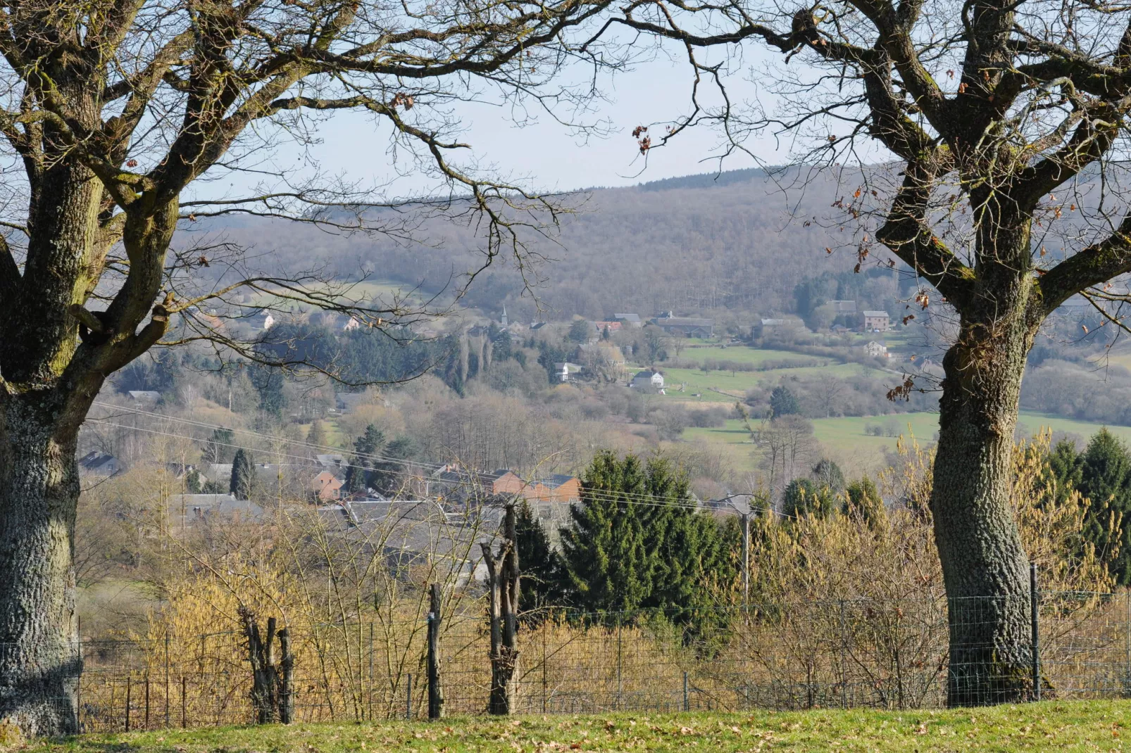 Mare aux Saules-Gebieden zomer 1km