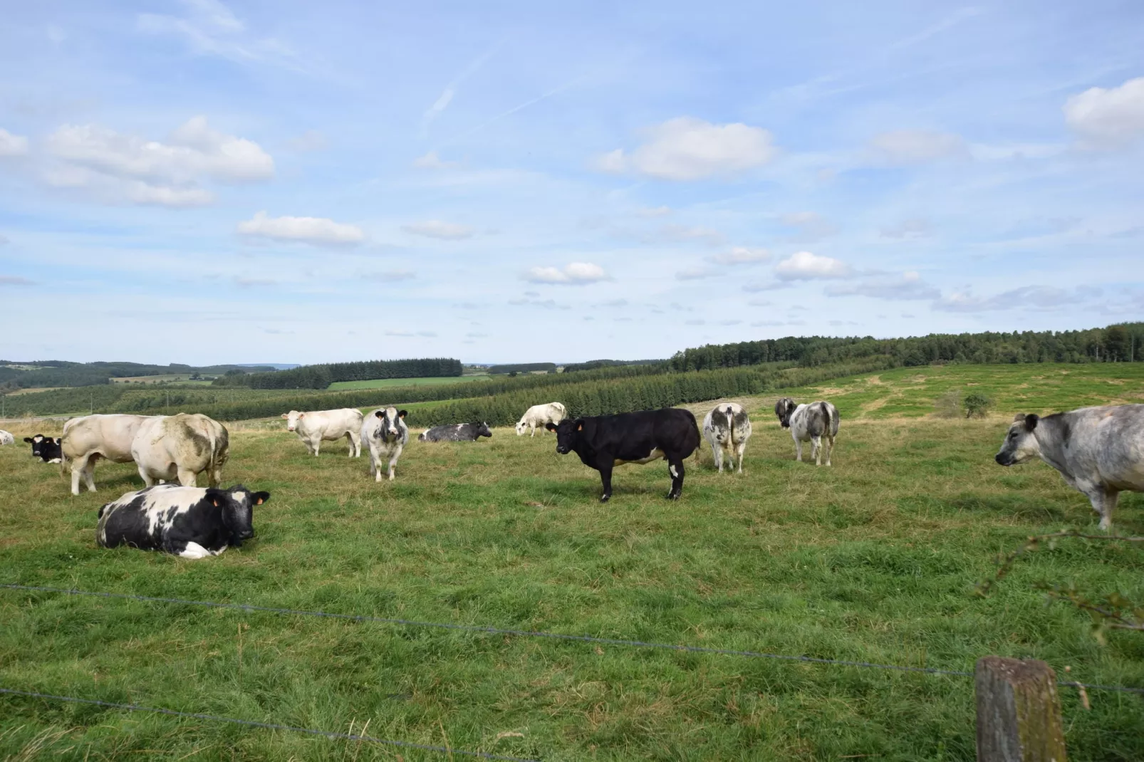 Mare aux Saules-Gebieden zomer 5km