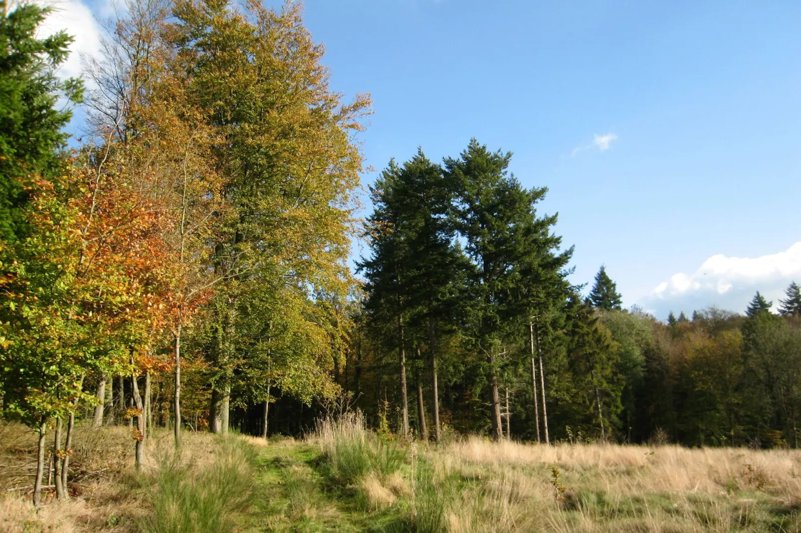 Mare aux Saules-Gebieden zomer 20km