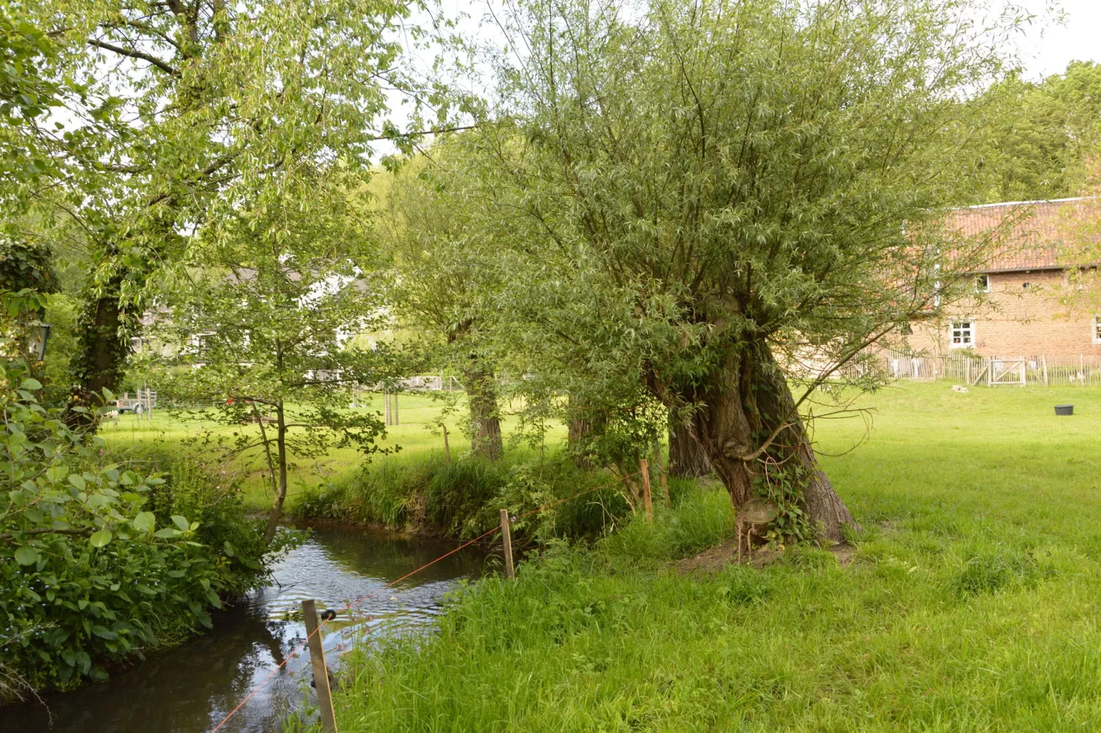 Hoeve A Gen Water - Hummesknupke-Gebieden zomer 1km