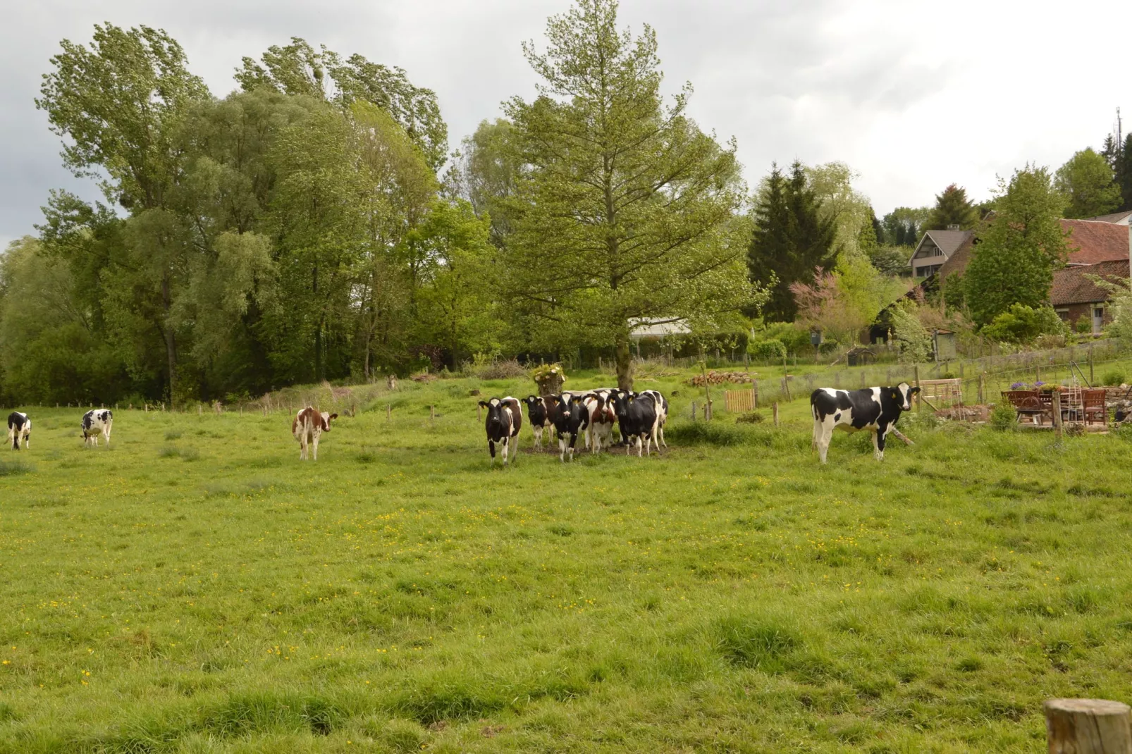 Hoeve A Gen Water - Hummesknupke-Gebieden zomer 1km