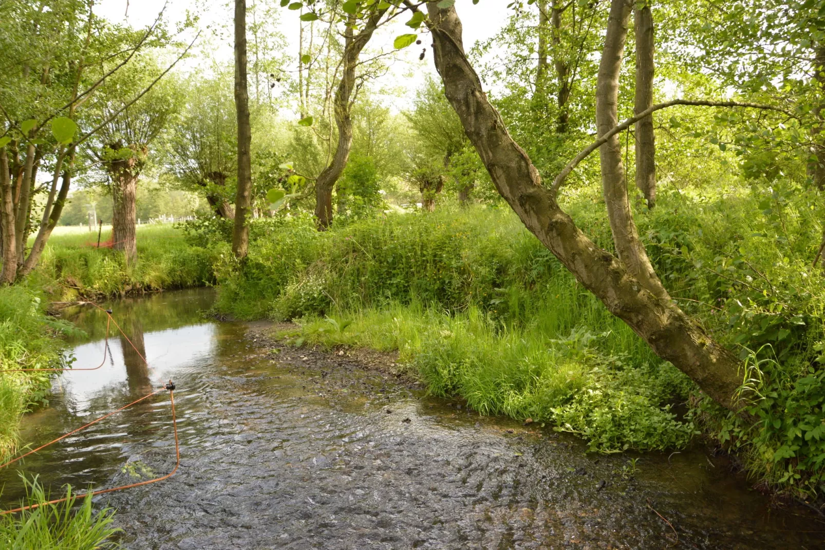 Hoeve A Gen Water - Hummesknupke-Gebieden zomer 20km