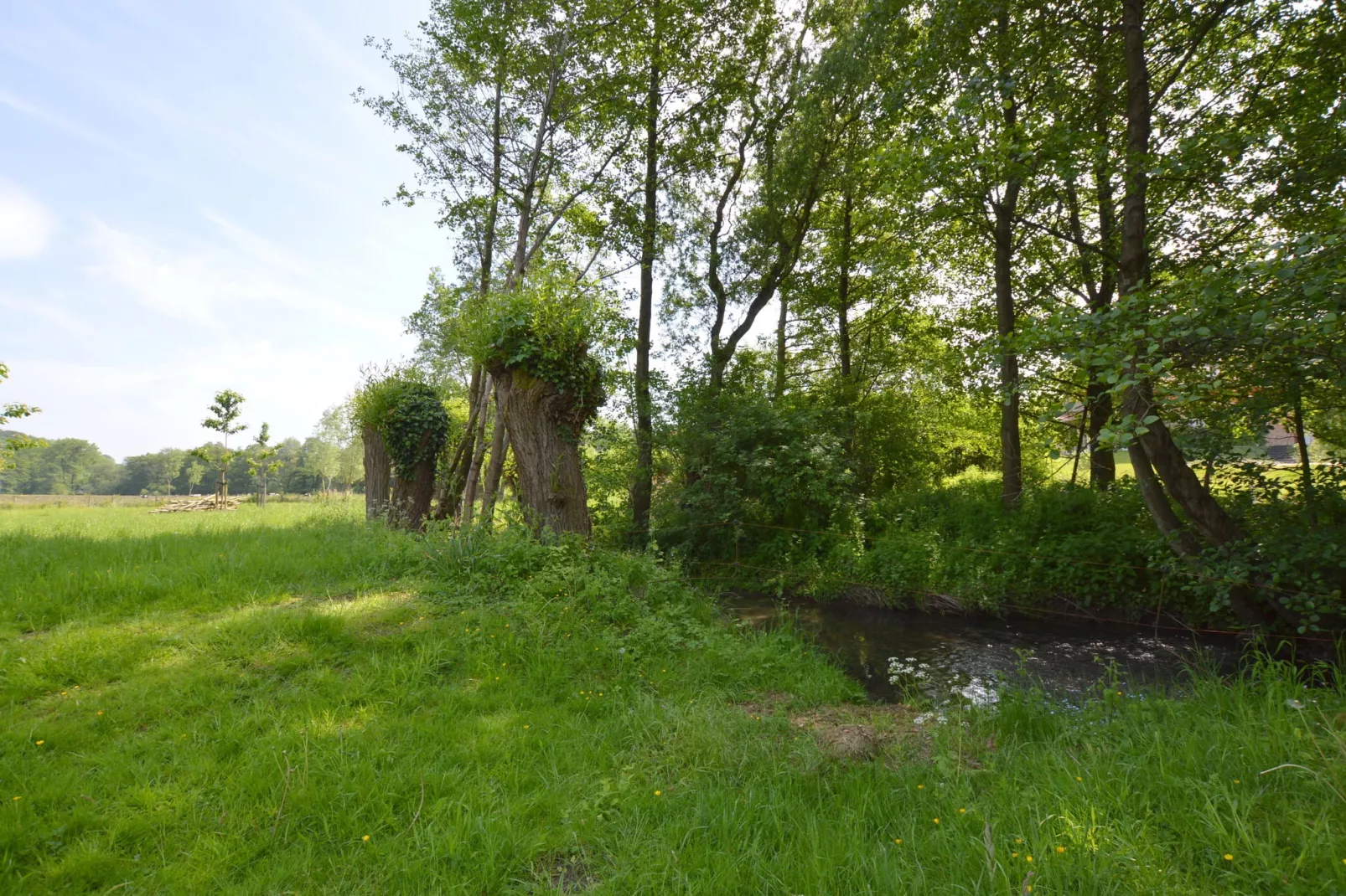 Hoeve A Gen Water- Donderblumke-Gebieden zomer 1km