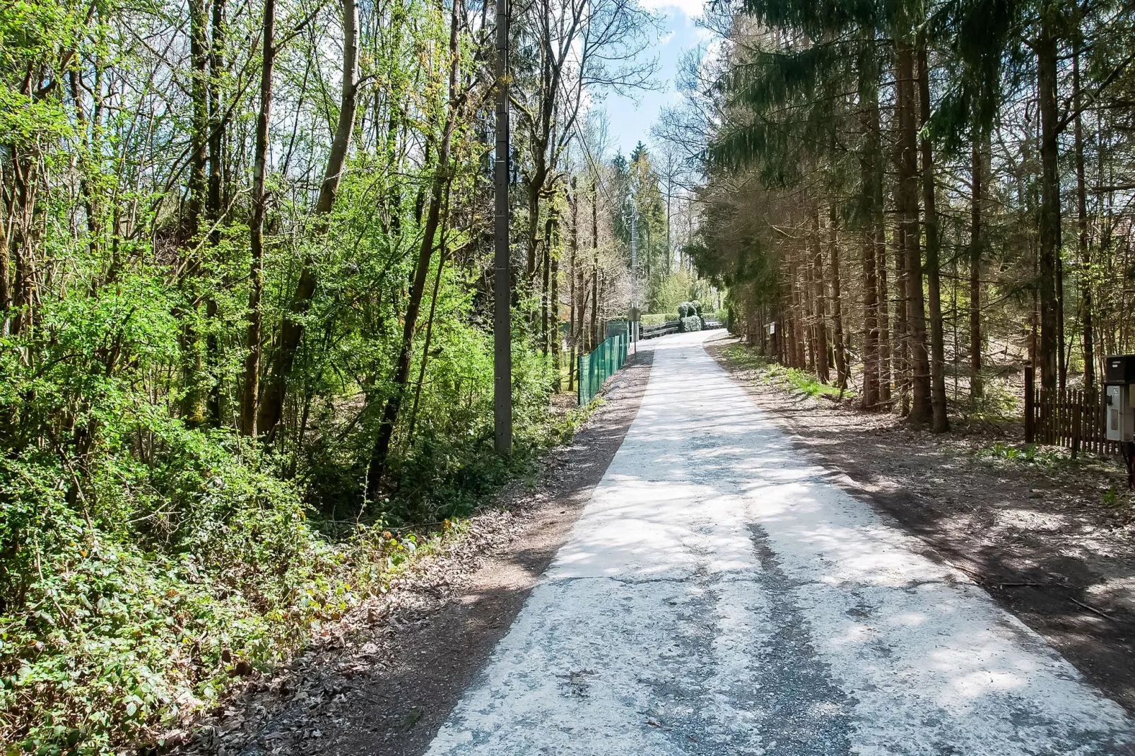 Chalet des Sapins-Gebieden zomer 1km