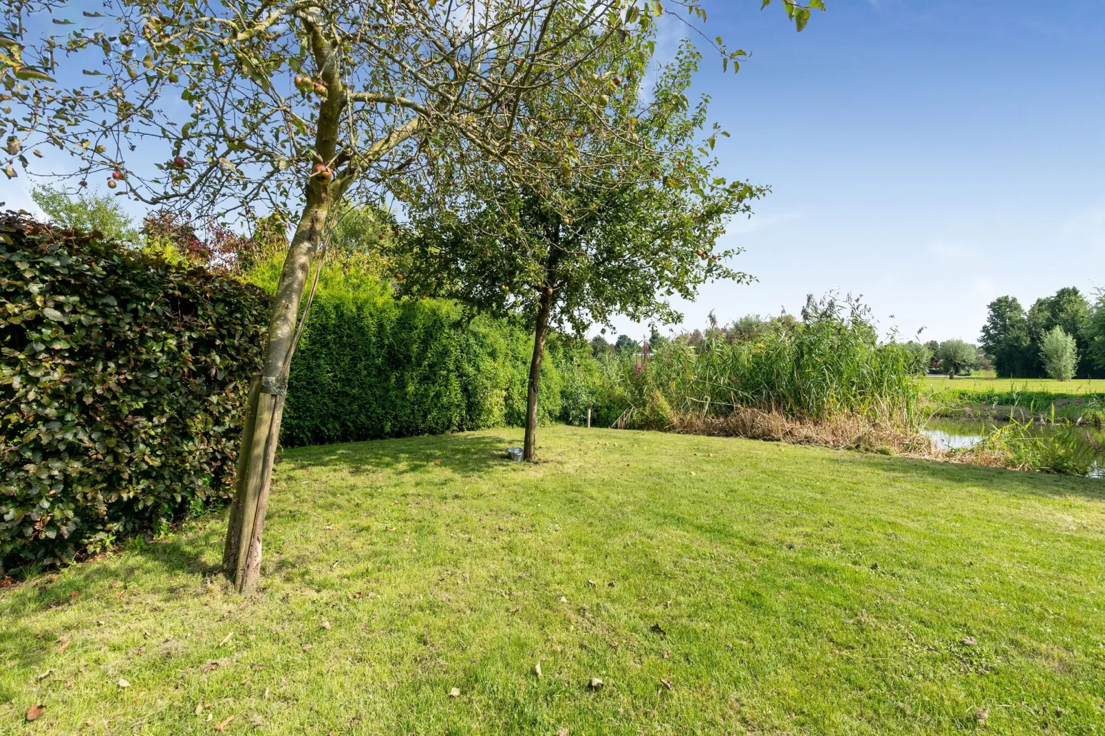 Heerlijk Horsterwold-Tuinen zomer