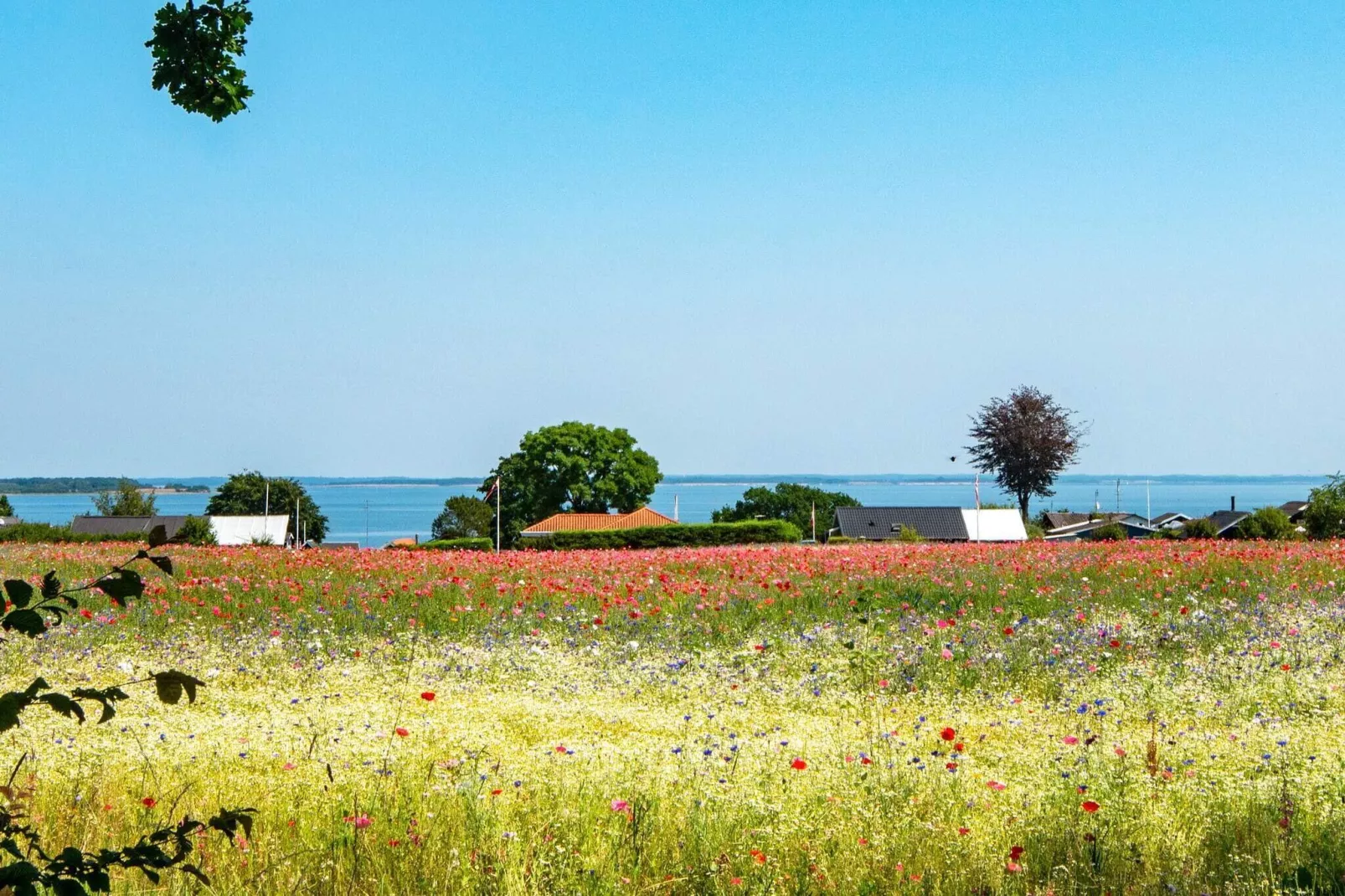 5 sterren vakantie huis in Haderslev-Uitzicht