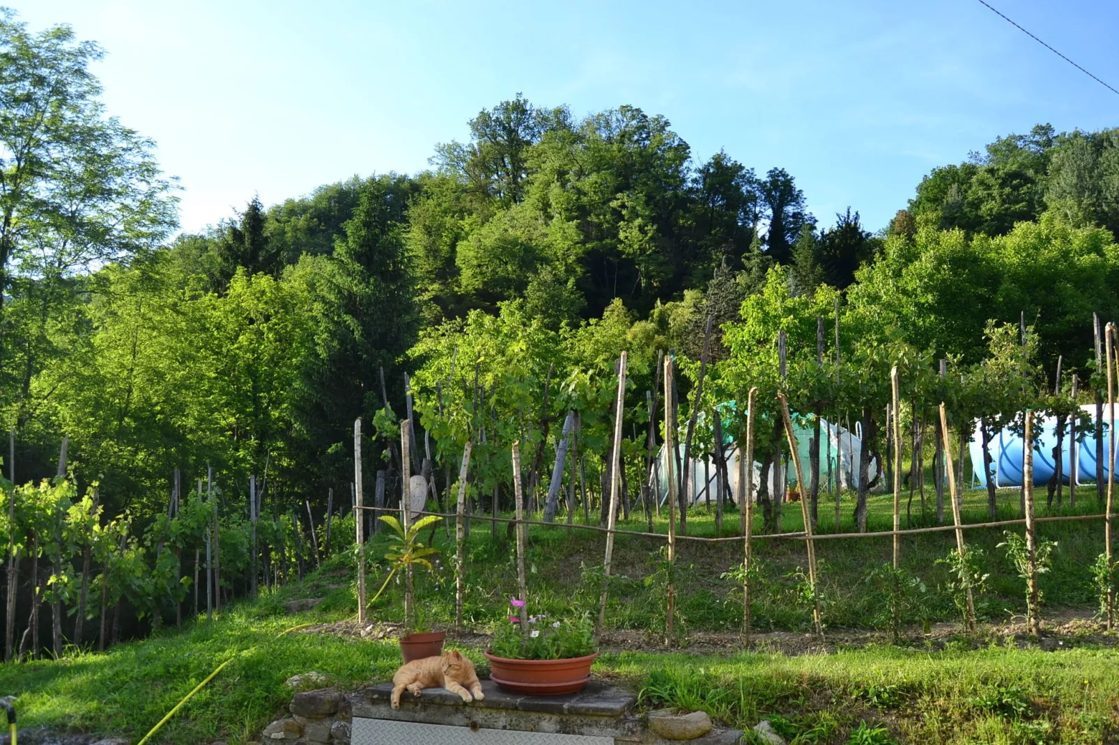Il Pradaccio-Tuinen zomer