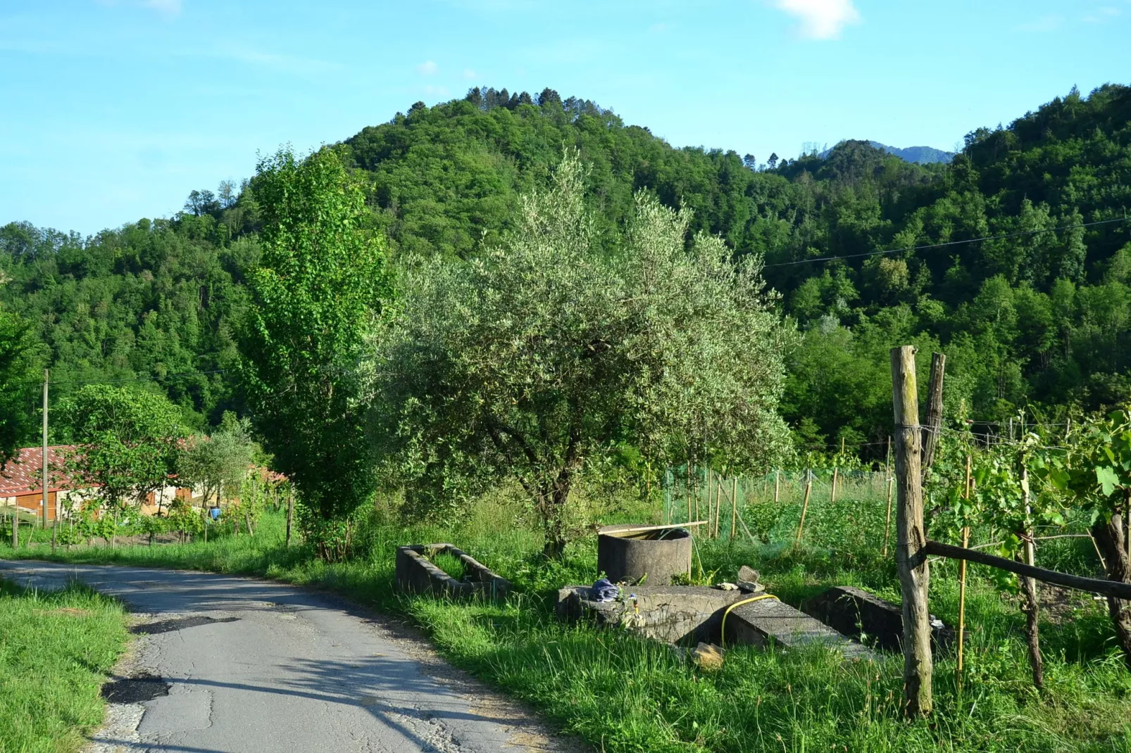 Il Pradaccio-Gebieden zomer 1km
